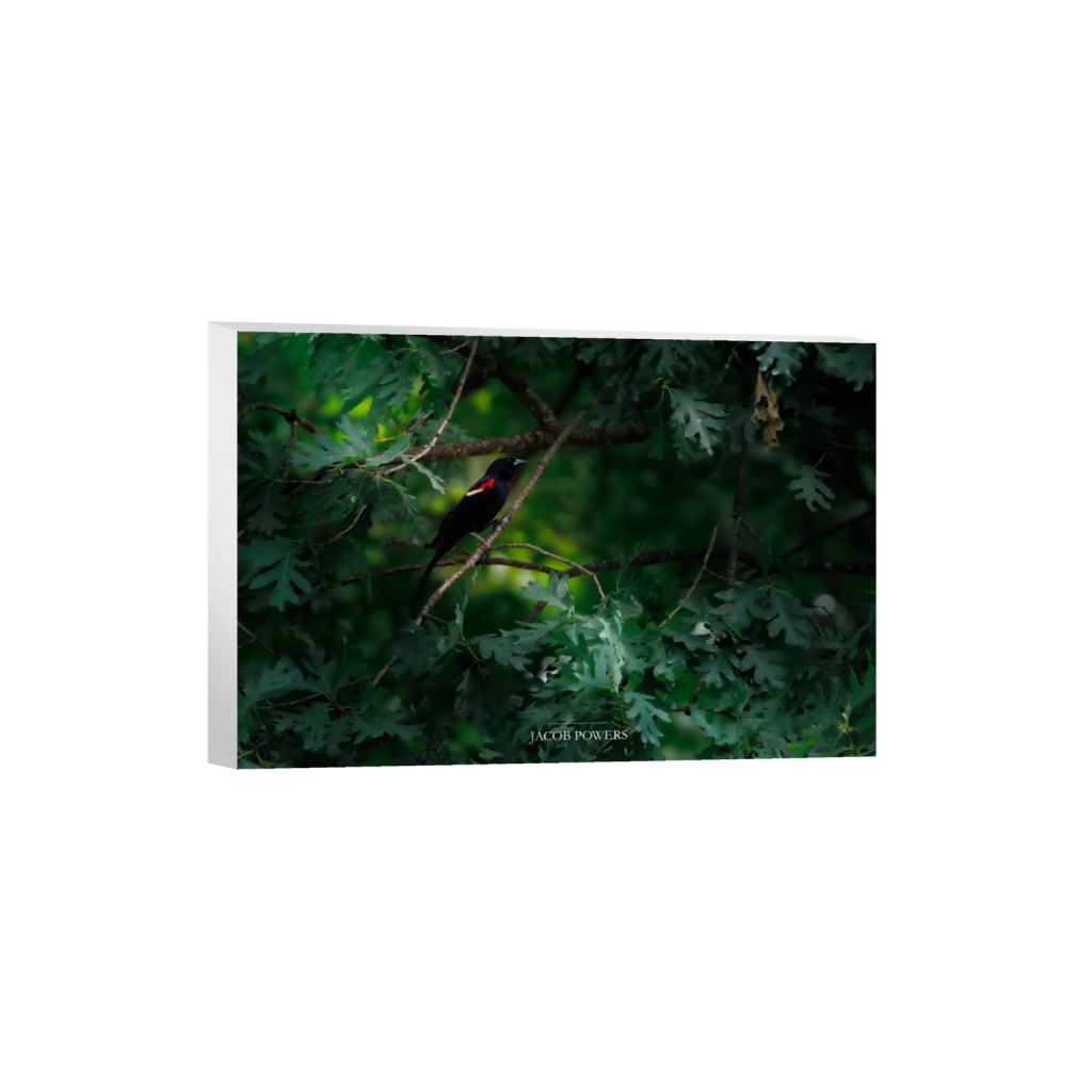 ptq_7_3_52_0_3694_2463_0_false_ffffff_0_0_.png