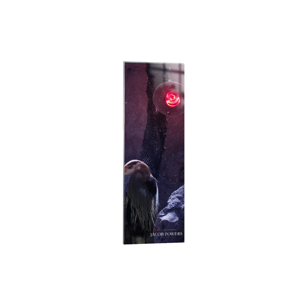 ptq_13_2_996_0_1253_3761_0_false_ffffff_0_0_.png