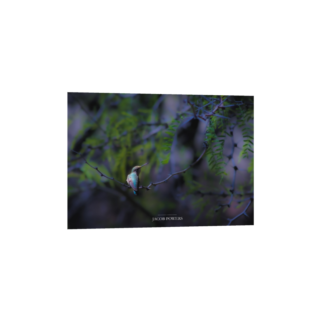 ptq_34_7_167_0_3928_2806_0_false_ffffff_0_0_.png