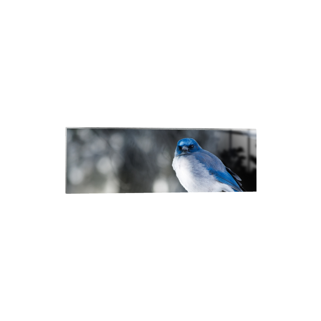 ptq_13_2_0_140_6000_2000_0_false_ffffff_0_0_.png