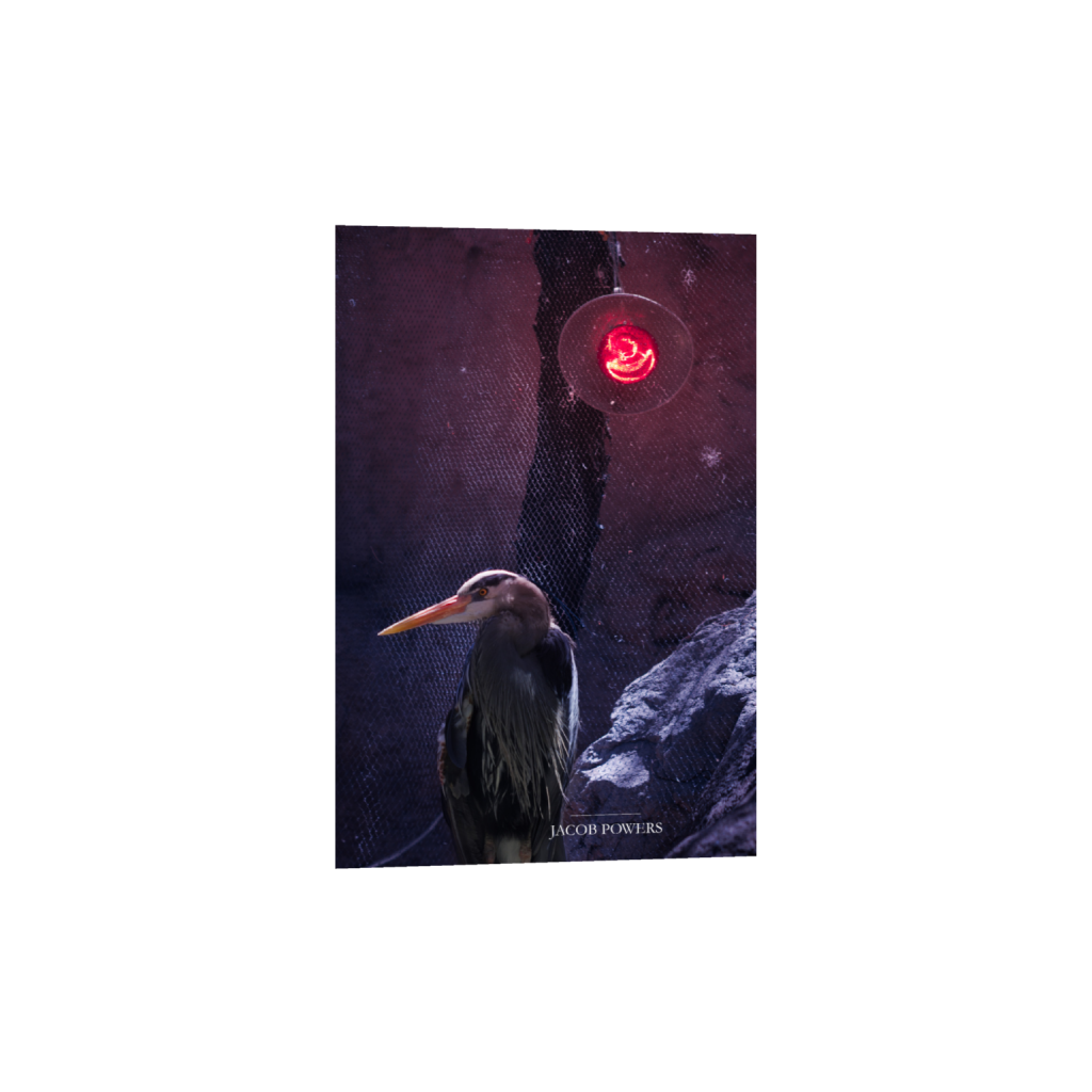 ptq_1_3_300_0_2507_3761_0_false_ffffff_0_0_.png