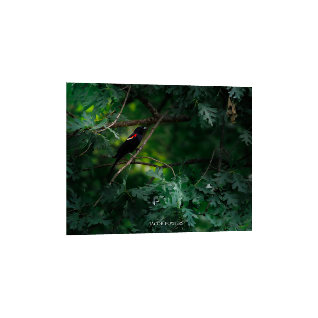 ptq_34_6_360_0_3078_2463_0_false_ffffff_0_0_.png
