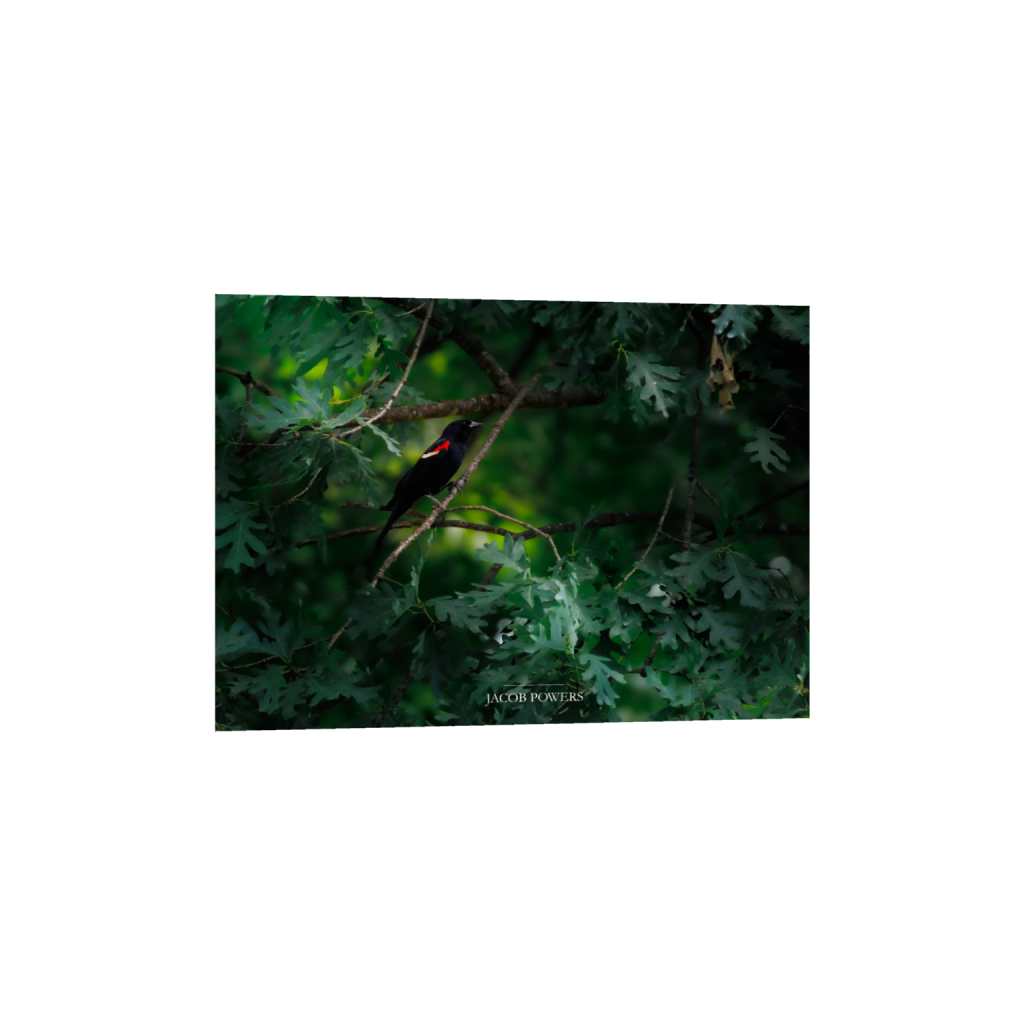 ptq_34_7_175_0_3448_2463_0_false_ffffff_0_0_.png