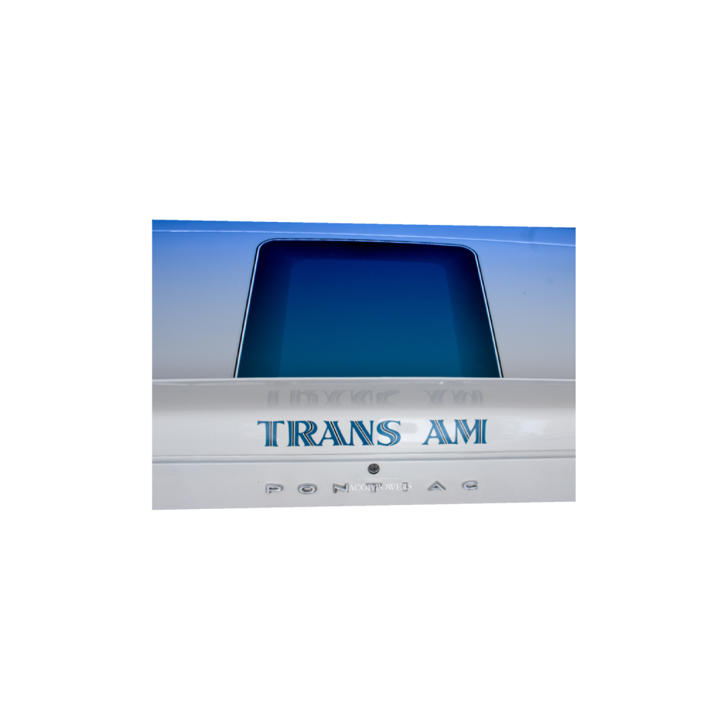 ptq_1_3_249_0_5313_3542_0_false_ffffff_0_0_.png