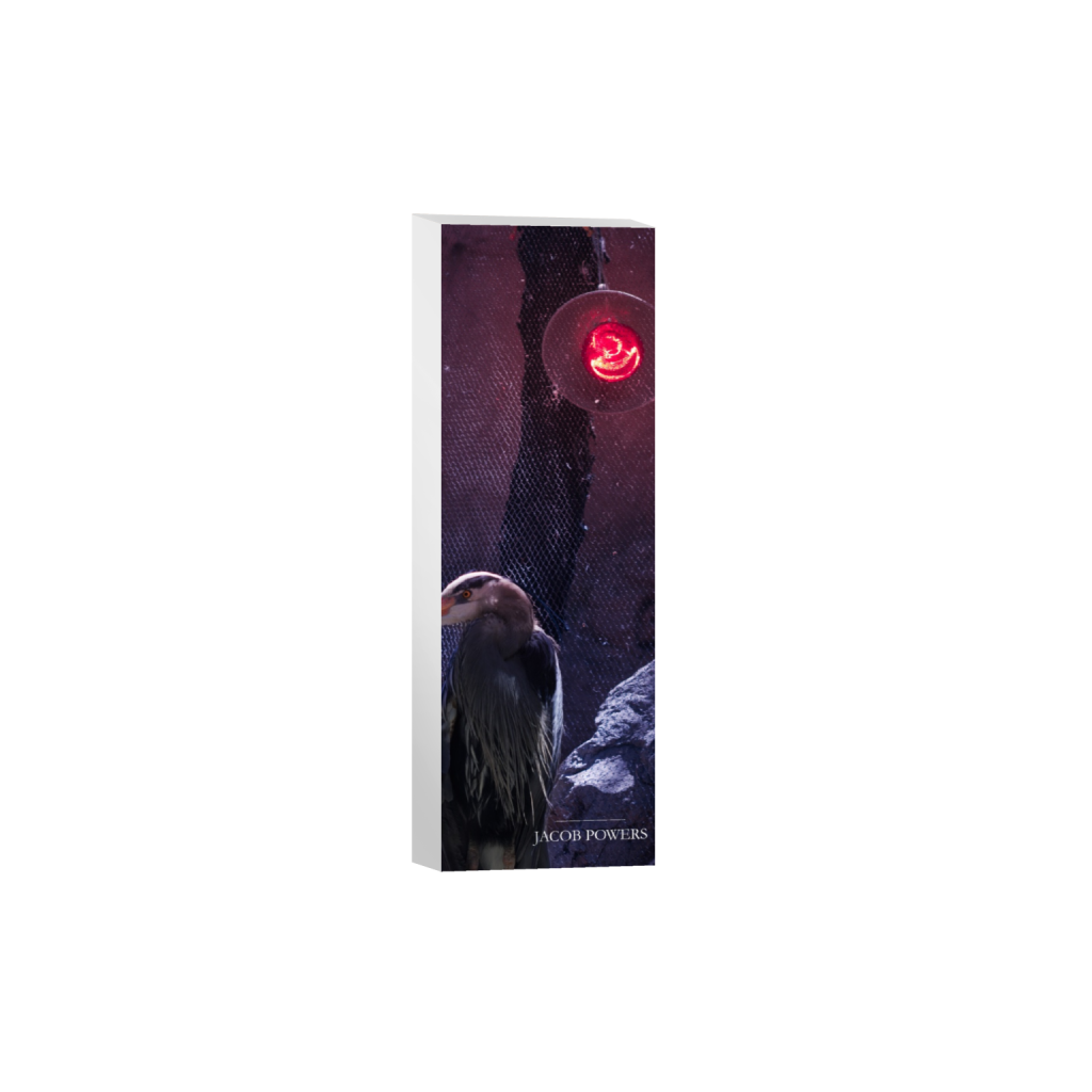 ptq_7_2_996_0_1253_3761_0_false_ffffff_0_0_.png