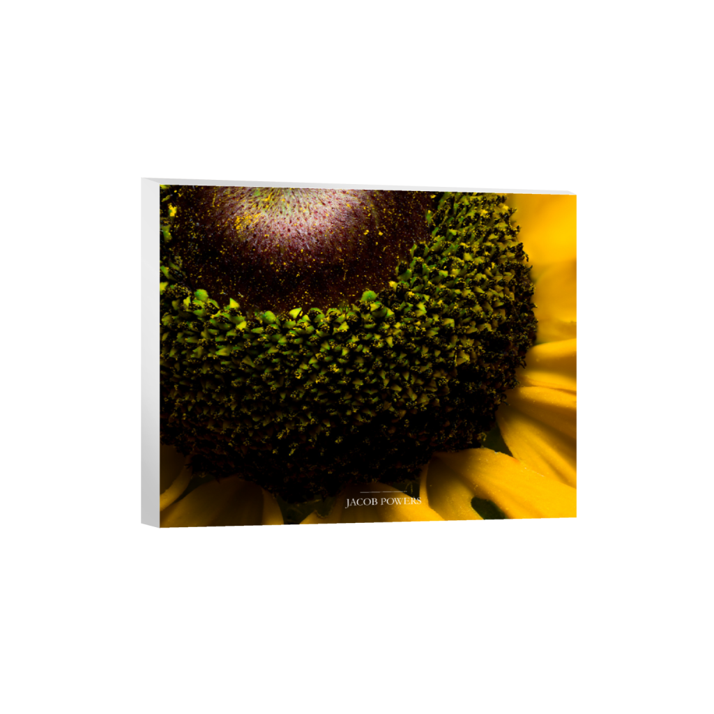 ptq_7_6_505_0_4977_3982_0_false_ffffff_0_0_.png