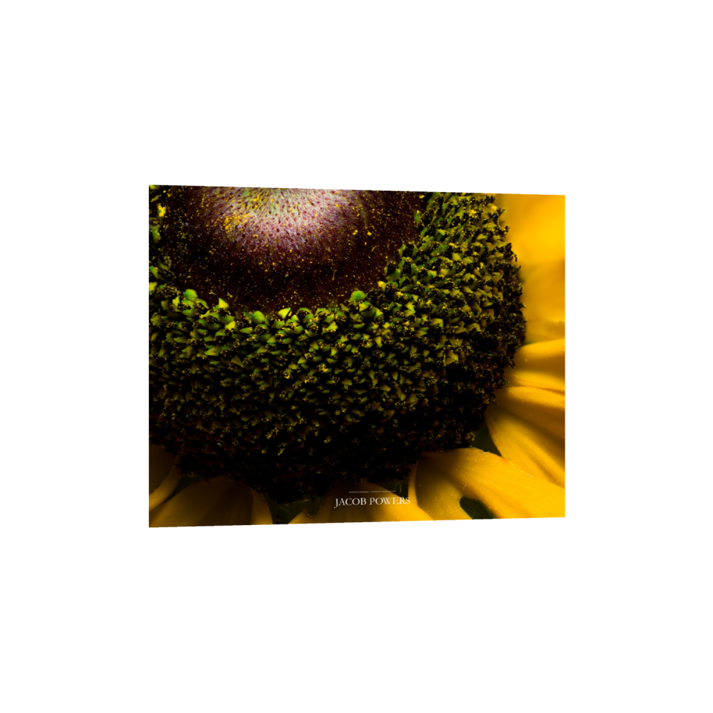 ptq_1_6_505_0_4977_3982_0_false_ffffff_0_0_.png