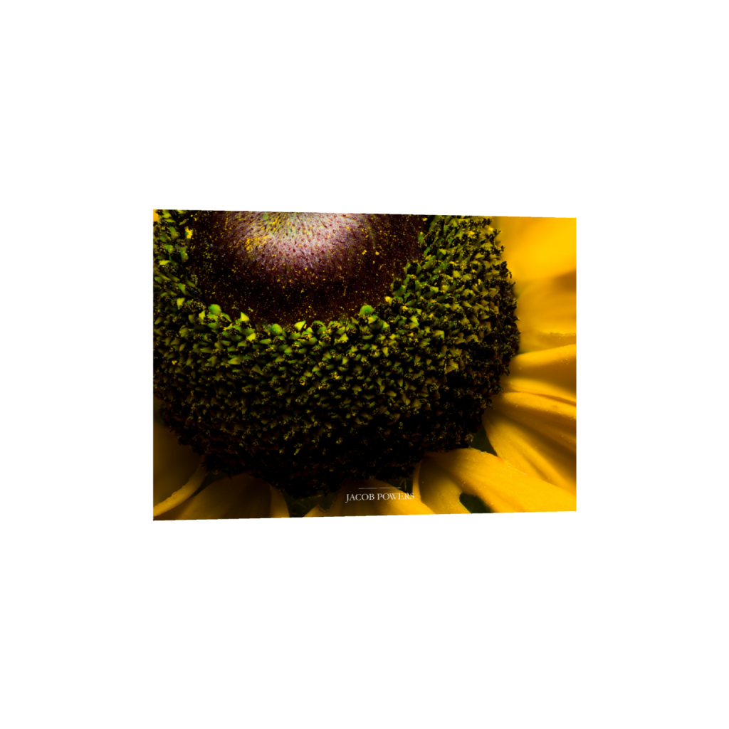 ptq_1_7_206_0_5574_3982_0_false_ffffff_0_0_.png