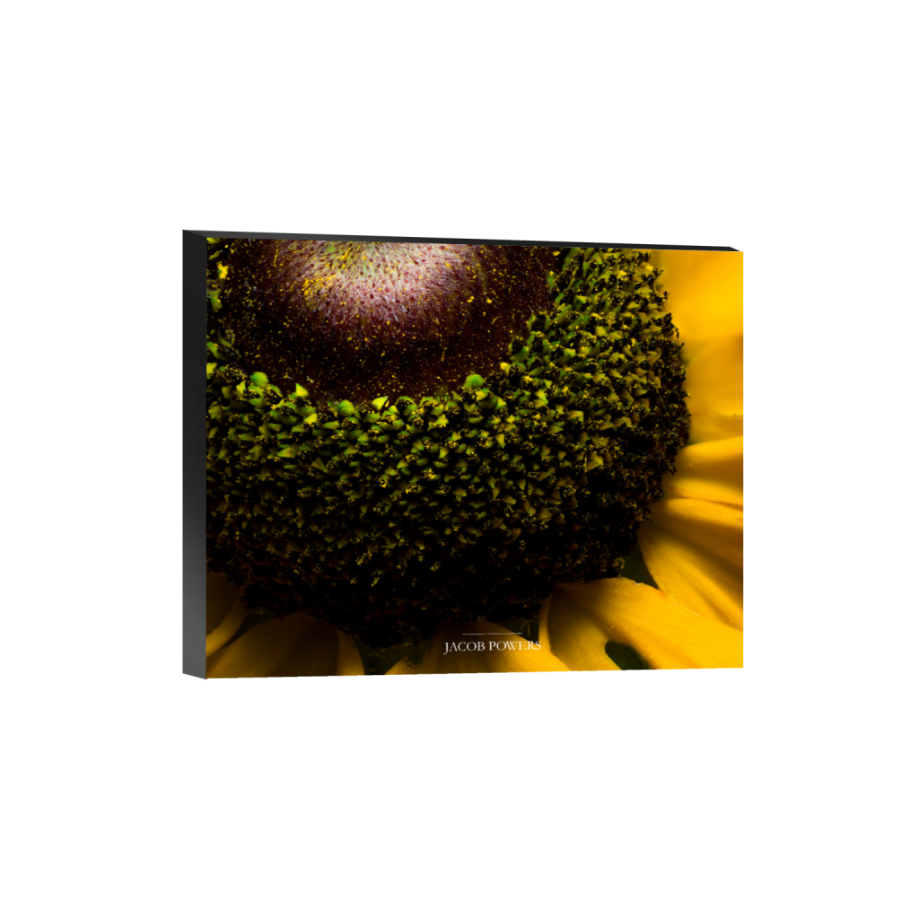 ptq_32_6_505_0_4977_3982_0_false_ffffff_0_0_.png