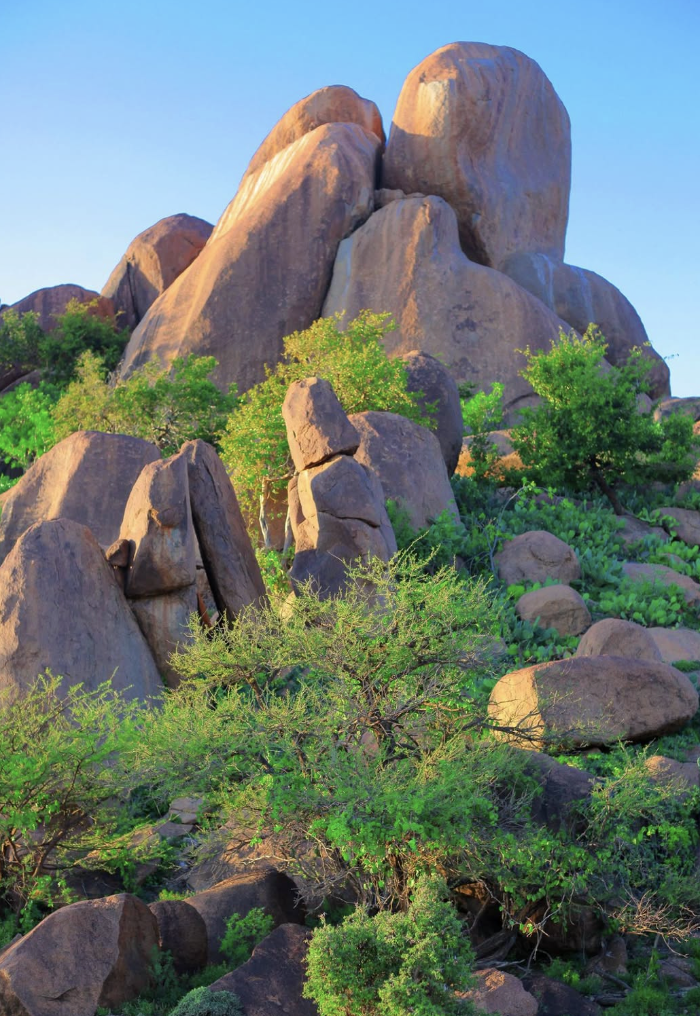 THINGS TO DO IN HARGEISA