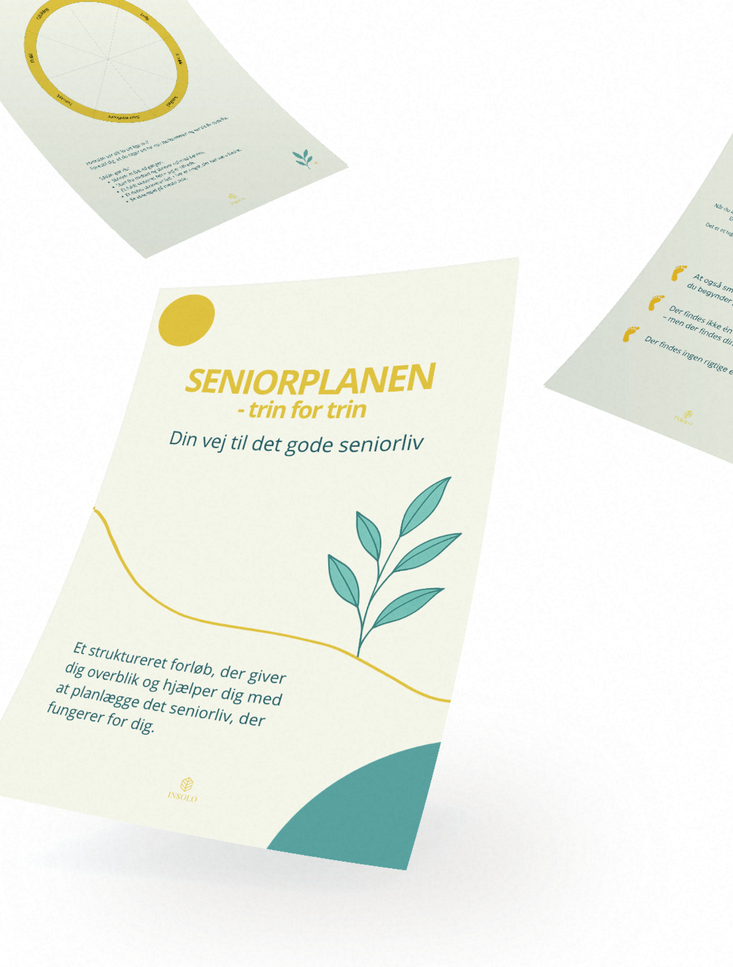 Seniorplanen - Trin for trin