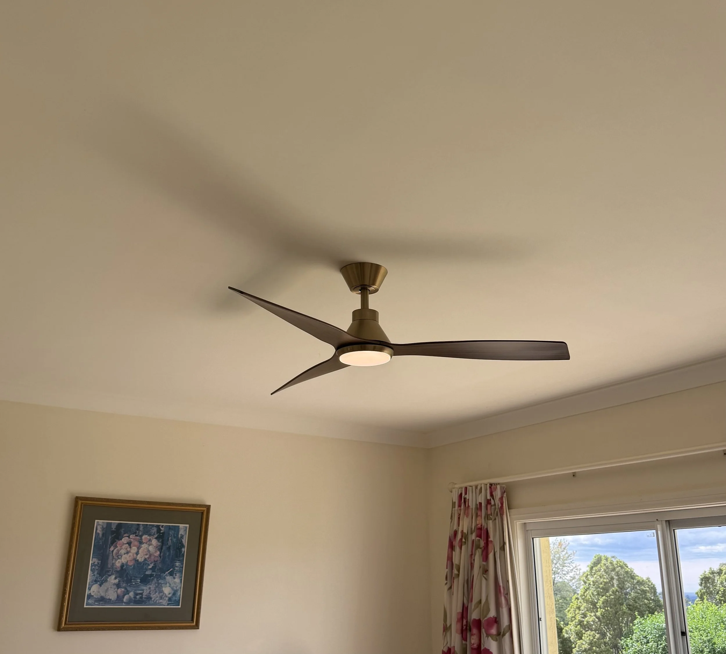 IMG_1976.jpeg