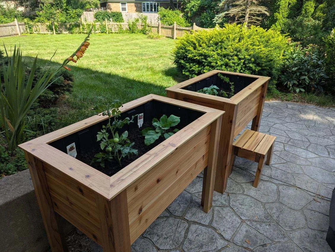 Two rectangular wooden planters with soil and growing vegetables, one with tomato plants and leafy greens, placed on a stone patio in a backyard with lawn, shrubs, and trees in the background.