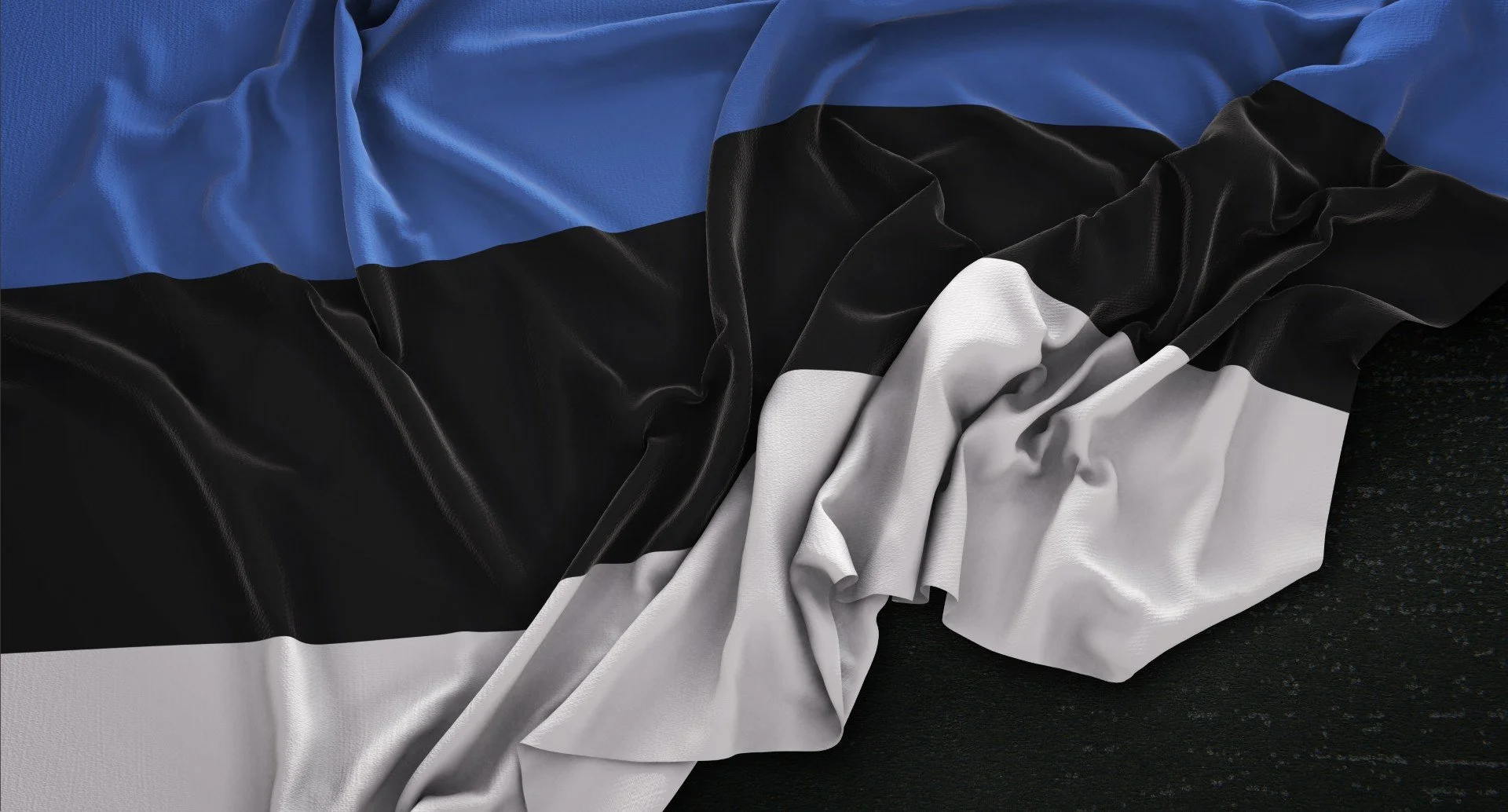 estonia-flag-wrinkled-dark-background-3d-render (Large).jpg