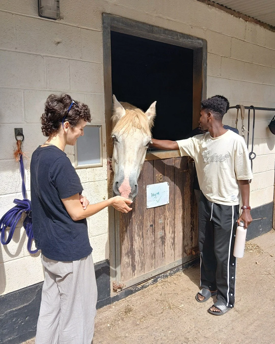 Young people from across Devon joined us for a wellbeing day at the Mare and Foal Sanctuary, a chance to slow down, meet new people, and spend time with the ponies.

From mindfulness and forest school activities to grooming and making enrichment trea