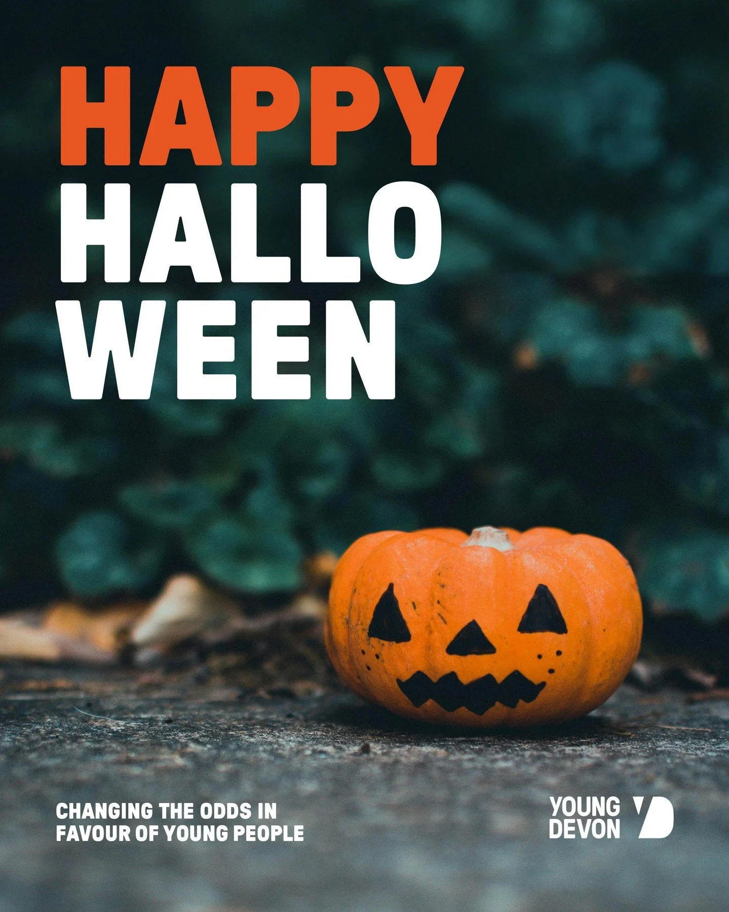 Wishing you a day filled with spooky fun, sweet treats, and plenty of laughs. Whether you&rsquo;re dressing up, watching scary movies, or carving pumpkins, we hope you have a fang-tastic time! 🕸️👻

#HappyHalloween #YoungDevon