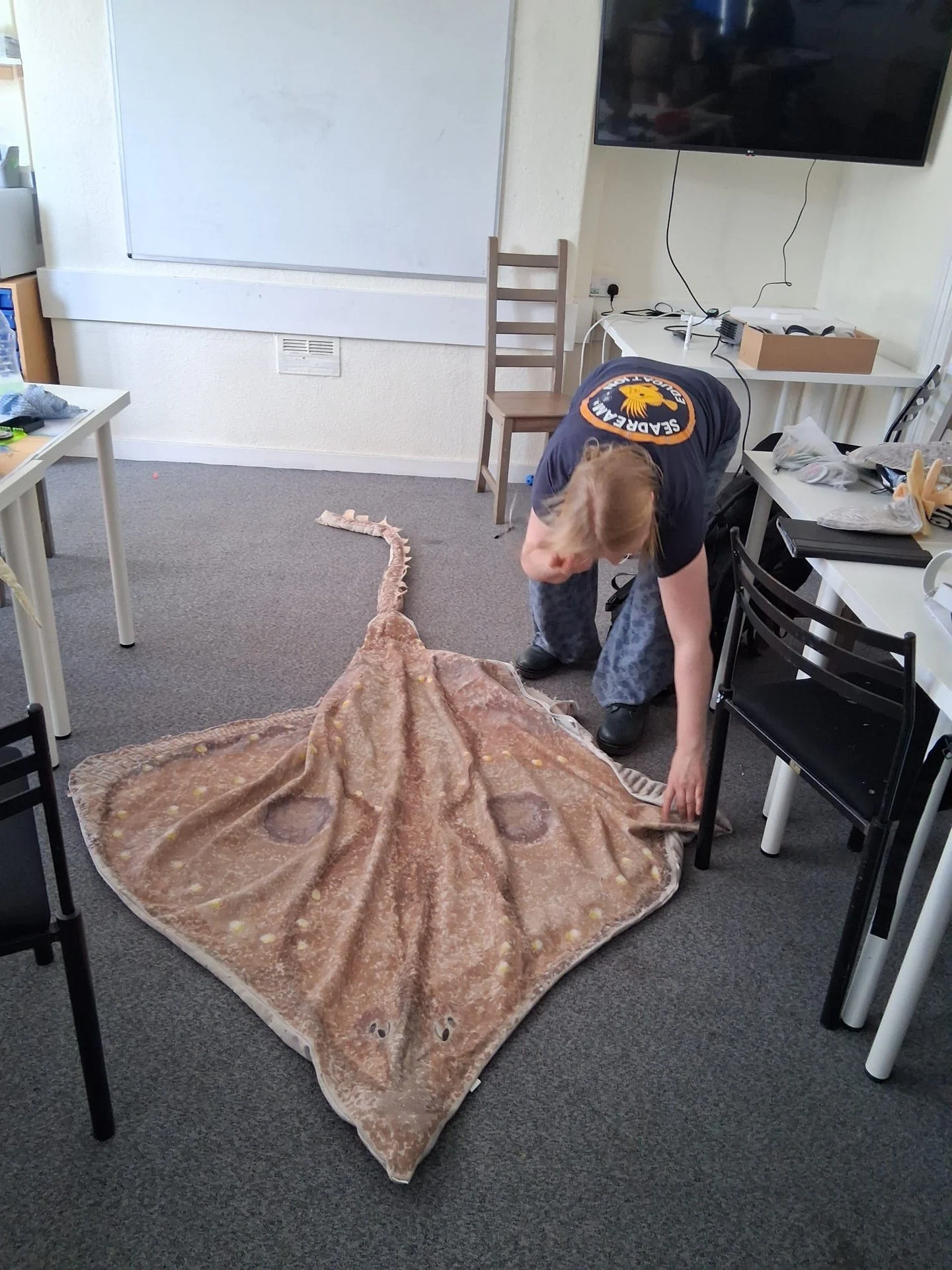 Exploring the wonders beneath the surface! 🌊

As part of Seadreams&rsquo; outreach celebrating biodiversity and aquatic habitats, our Independent Living course had an incredible visit from Dr Juliette Jackson.

We dived into the ecology of Plymouth 