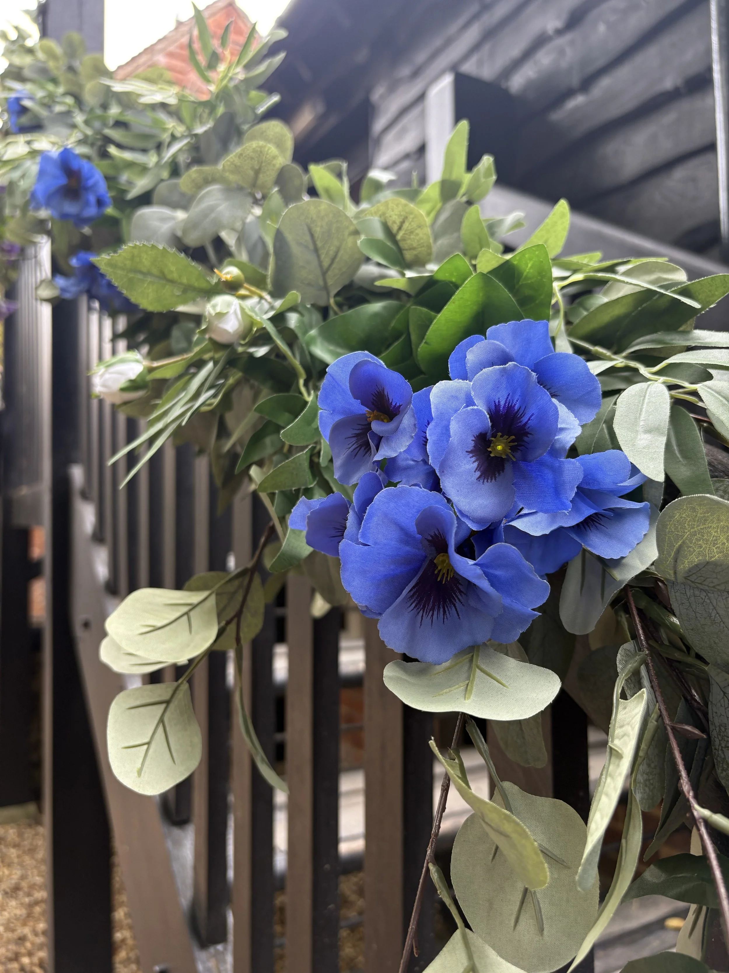 Close-up of blue flowers and green leaves growing along a black metal fence, with a wooden structure in the background.