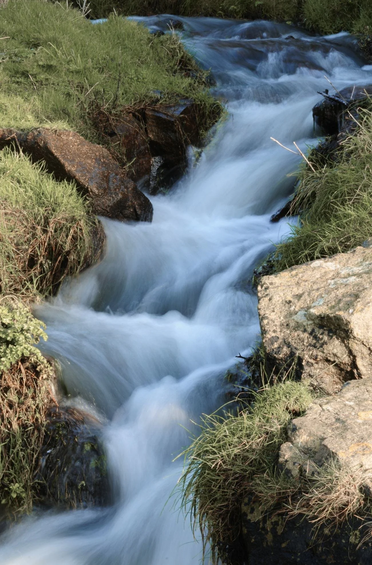 Creek running over rocks between grassy banks