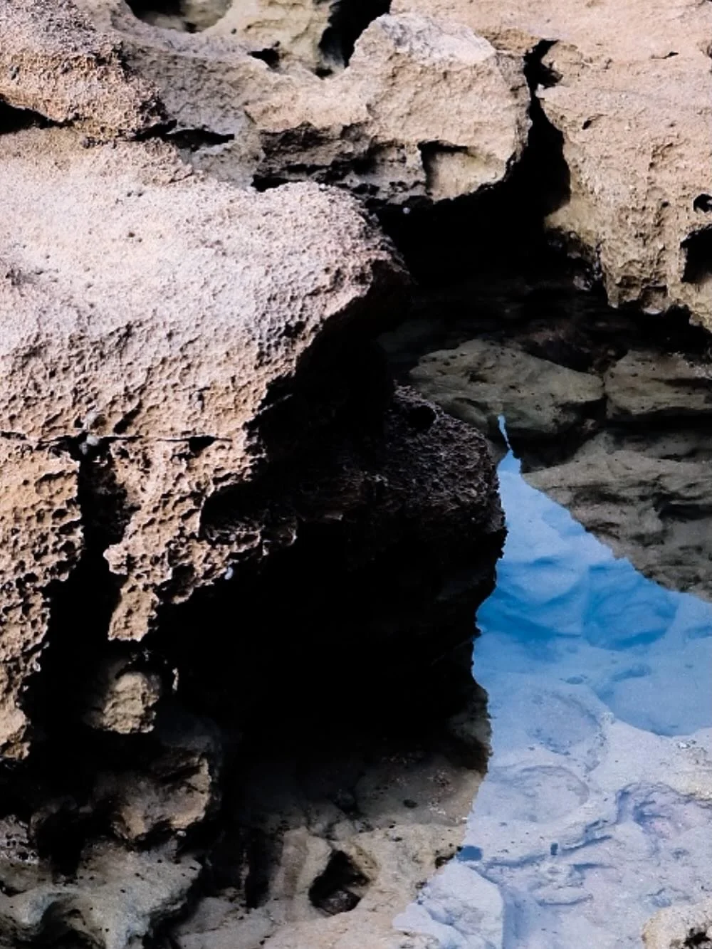 ELEMENTS
.
.
.
.
#fujifilmphotography #fujilovers #fujifilmglobal #fujifilmfrance #elemental #elements #elementsphotomag #photos #photography #photographer #macro #macrophotographylove #macrophoto #macrophotographer #bleu #atlantique #oceandecouleurs