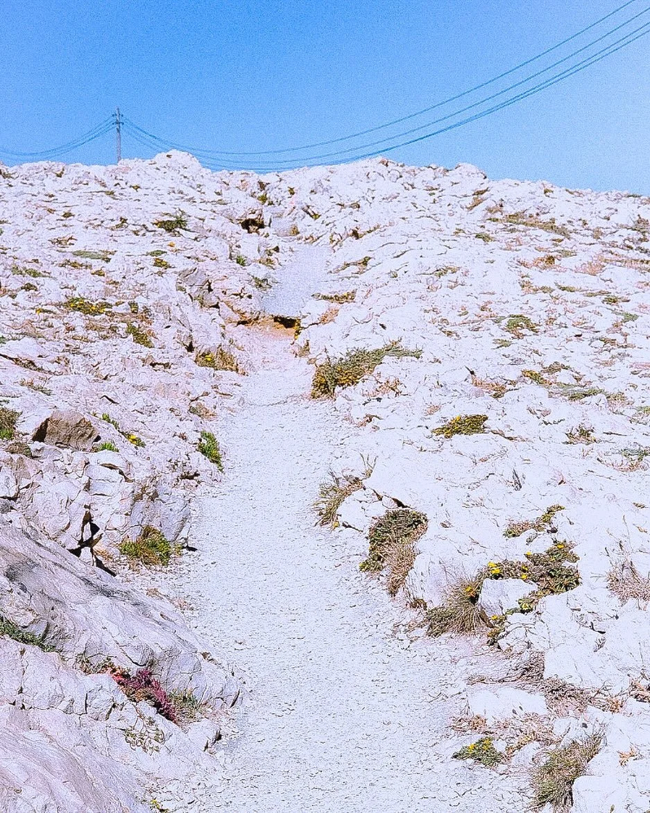Se contenter du chemin,
Des petits pas vers demain.
.
.
.
.
#vivremarseille #marseillegram #marseillemaville #marseille #lesgoudes #fujifilmphotography #35mmstreetphotography #35mmfilmphotography #35mm #35mmlight_memories #35mmlens #fujilovers #fujil