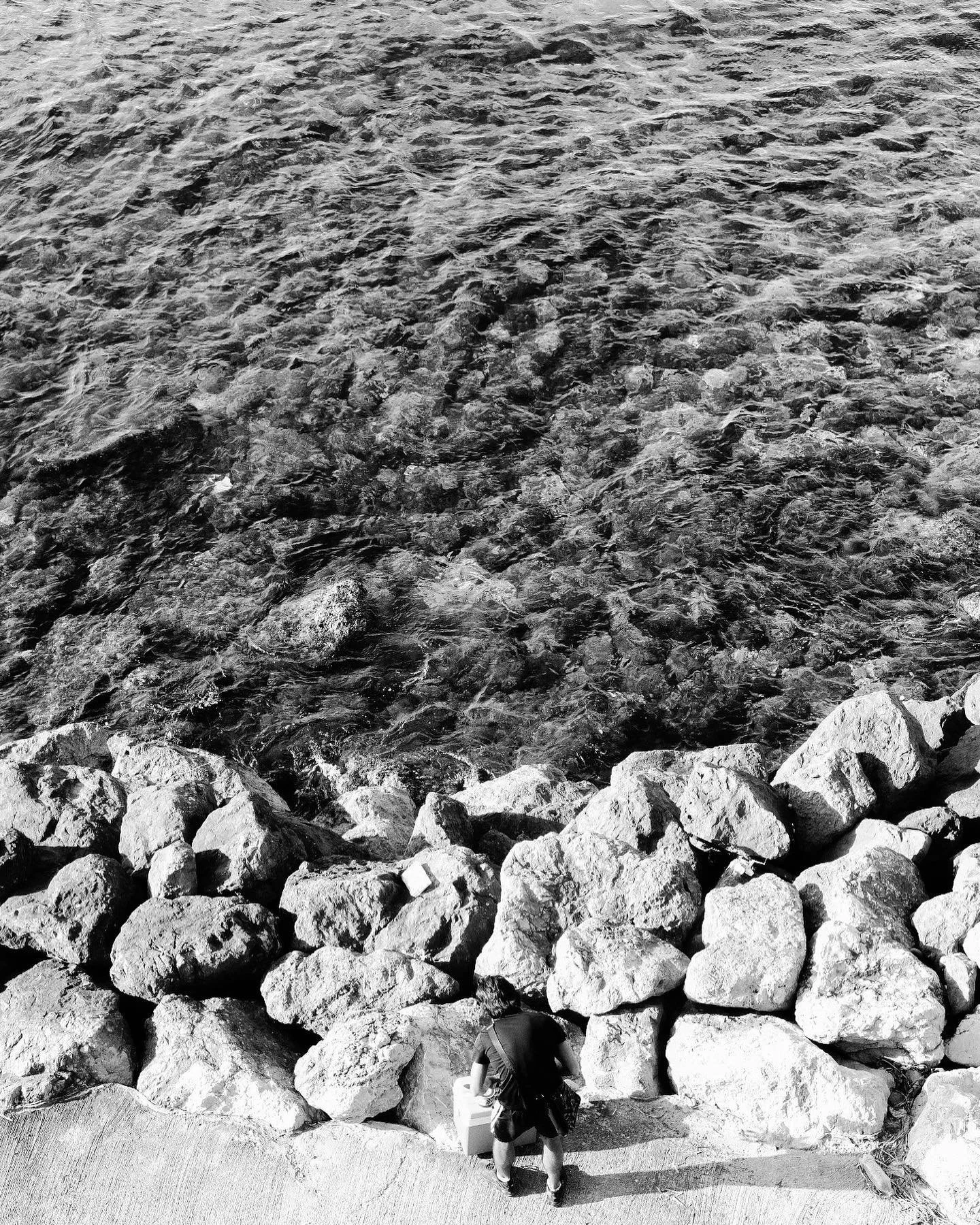 La Cit&eacute; Cyanos&eacute;e
.
.
.
.
#marseillephotolovers #marseillemaville #fujixseries #fujifeed #myfujilove #fujixpro2 #35mmdiary #35mmmagazine #35mmmag #35mmlens #lensculture #lensphotography #macro #macrophotography #seaphotographer #sealover