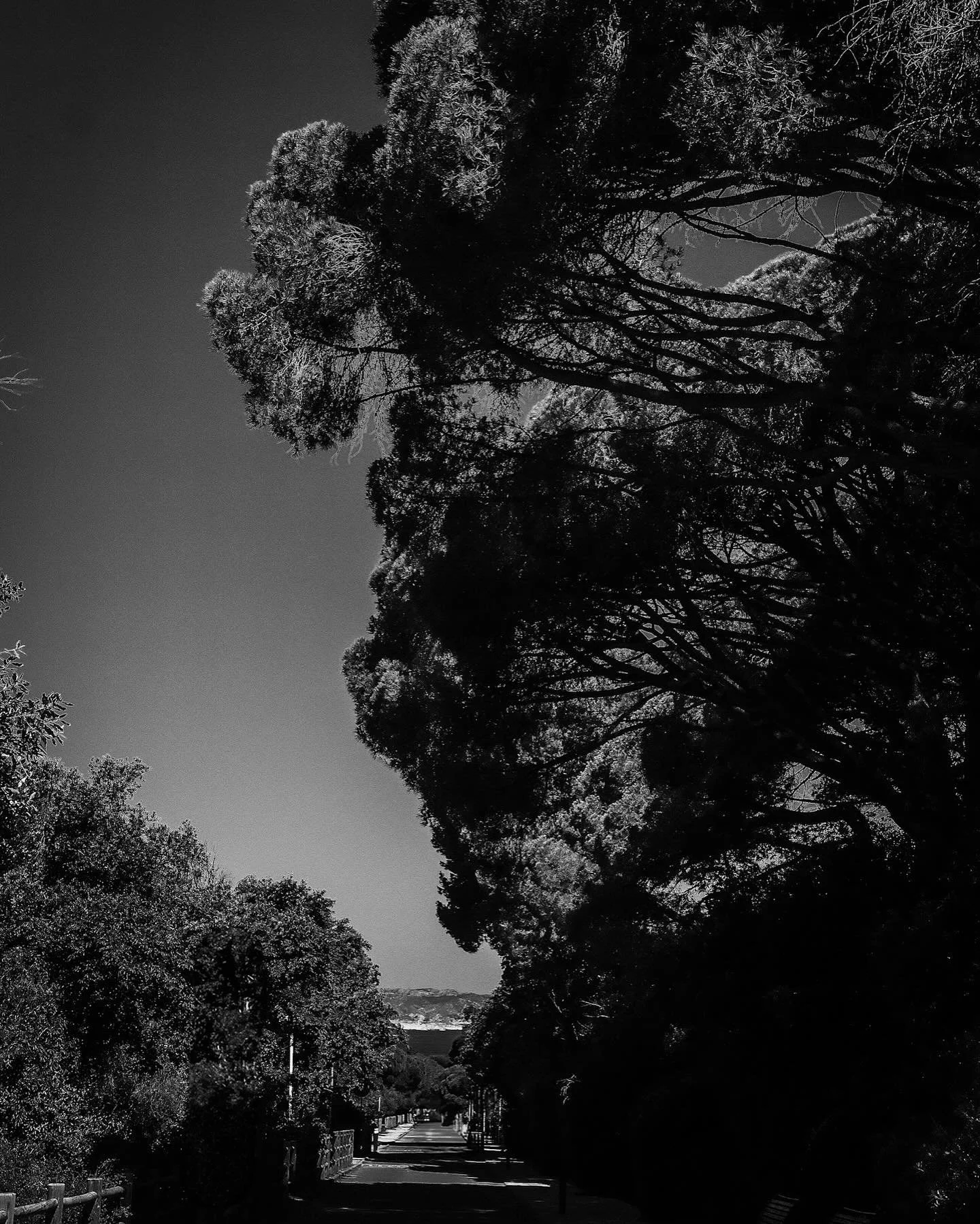 Demain commence ici
.
.
.
.
#fujilovers #fujixt5 #blackandwhitephotography #bnwlovers #bnw_photography #photographer #photoshoot #photogram