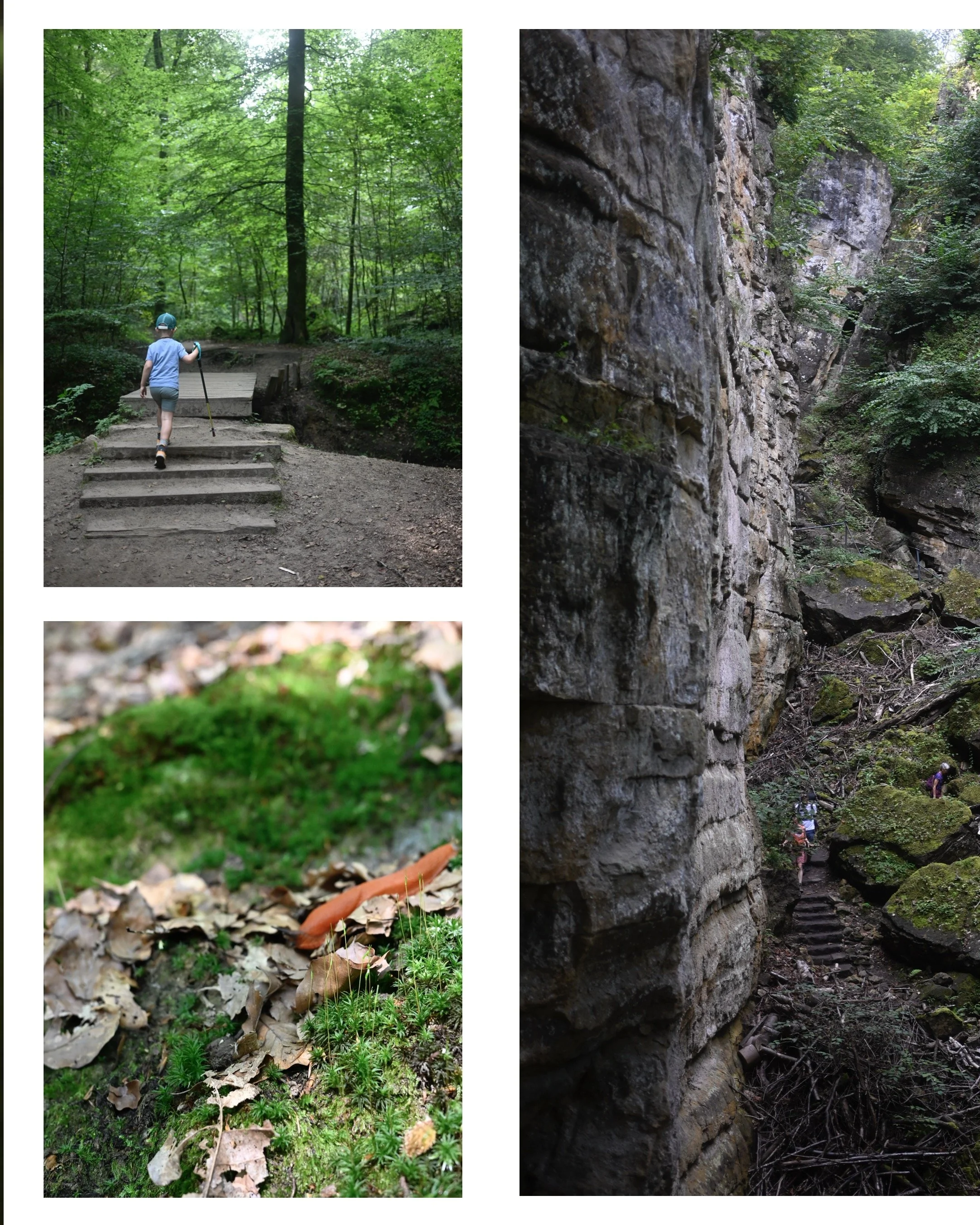 Mullerthal Trail E1.JPG