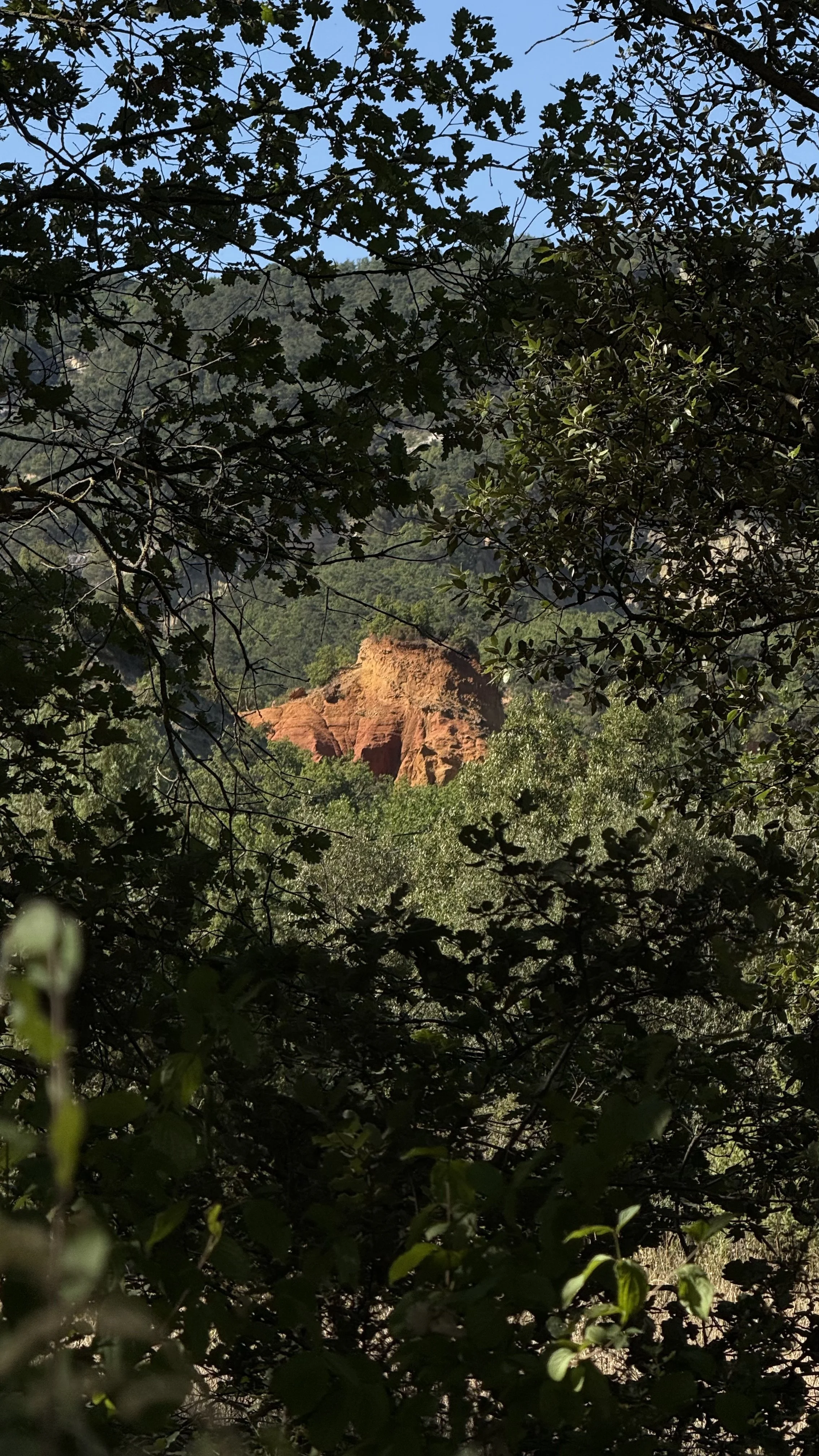 Mullerthal Trail E1.jpeg