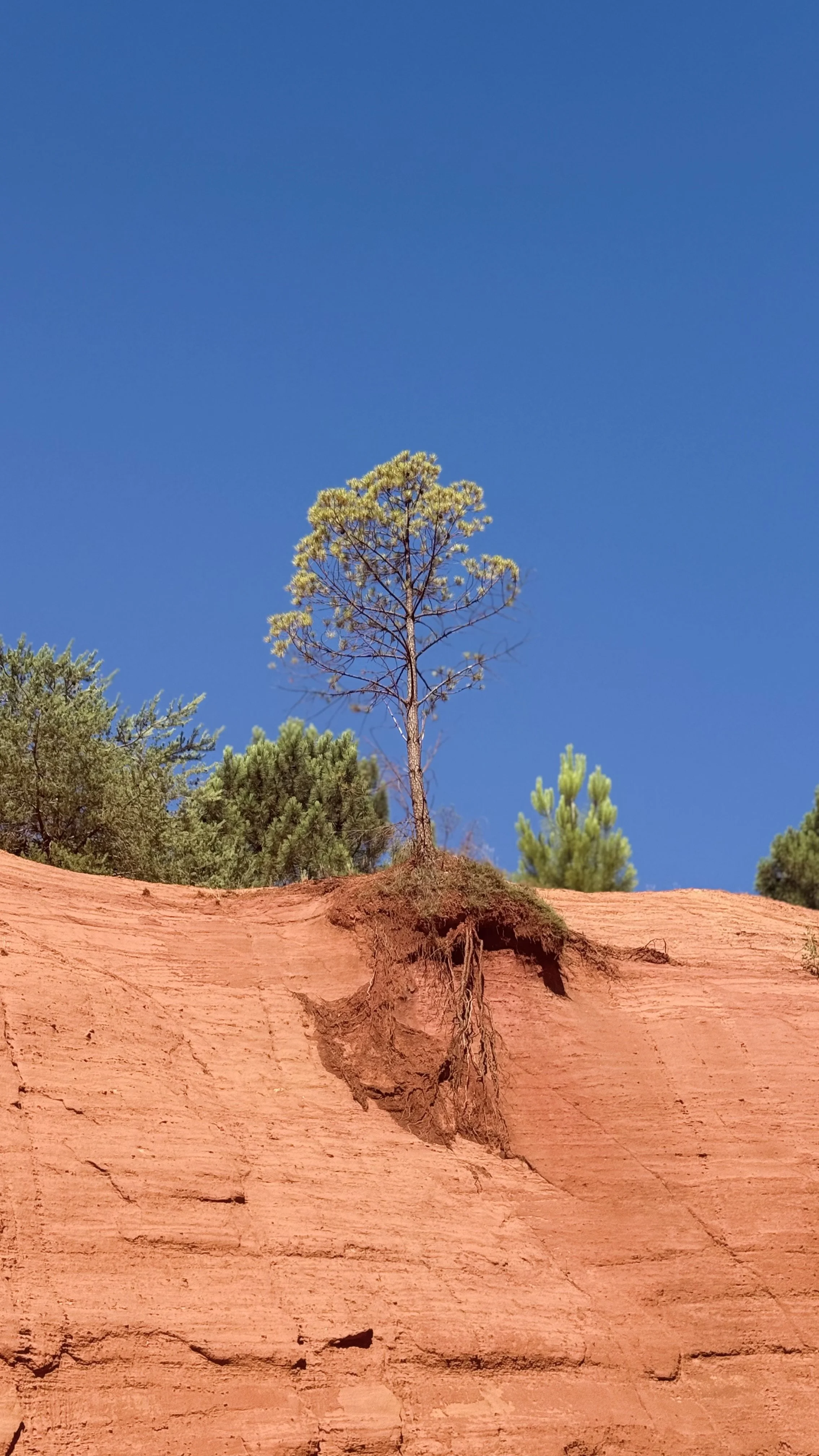 Colorado Provençal.jpeg