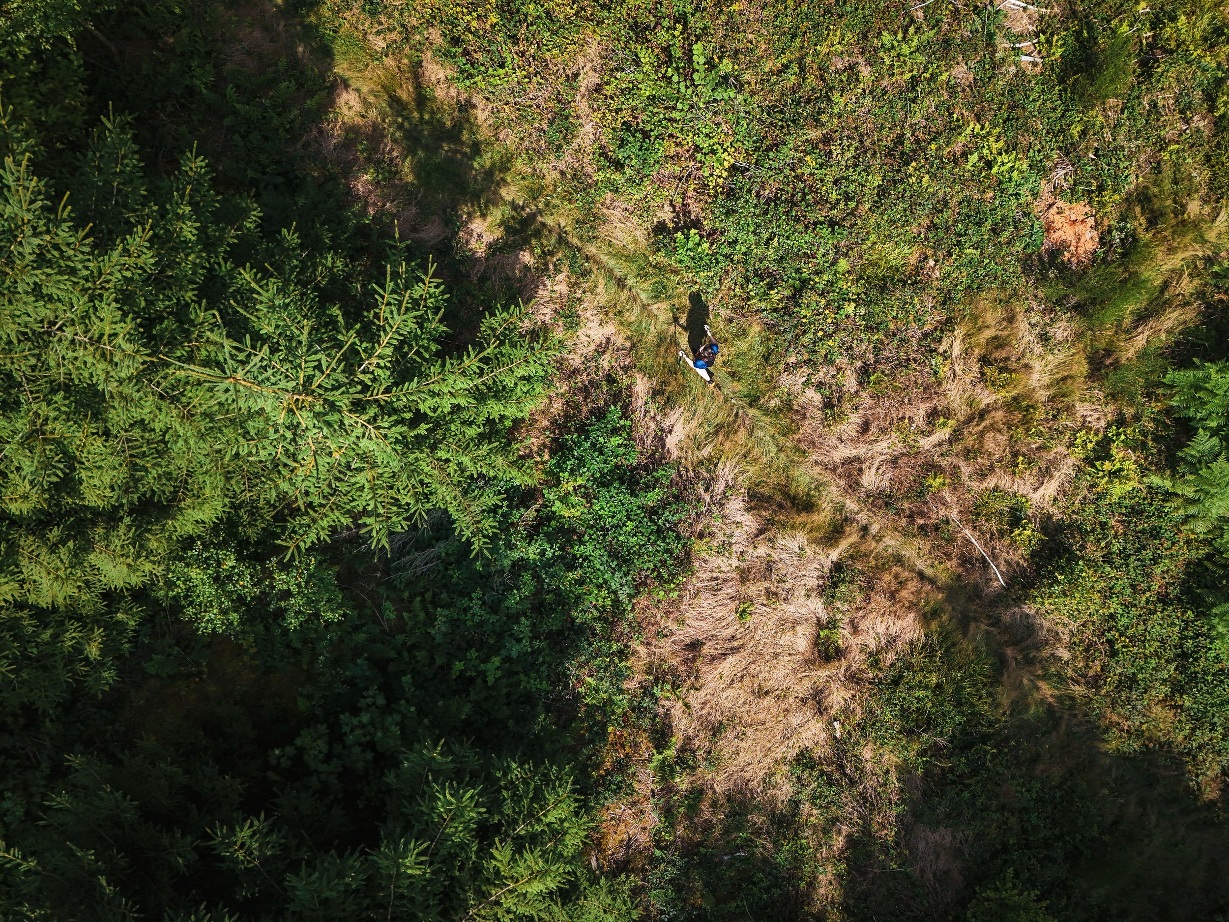 Van ziekte tot finishlijn: mijn Trail des Fantômes 2025 (20 km)