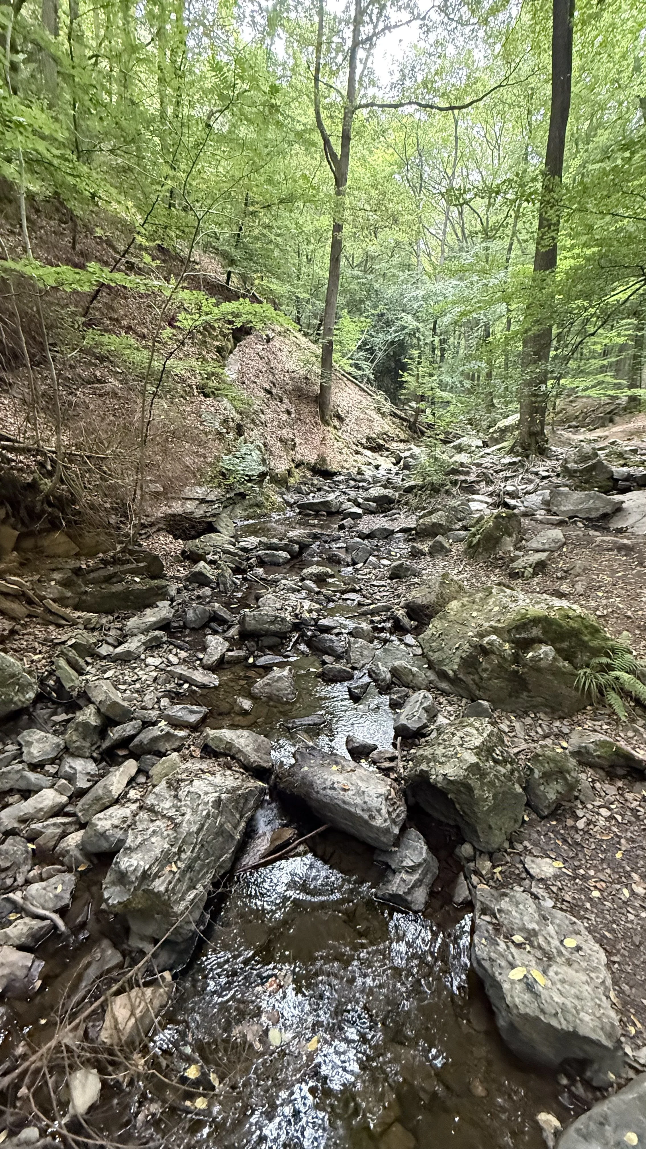 Hiking - Ninglispo.jpeg