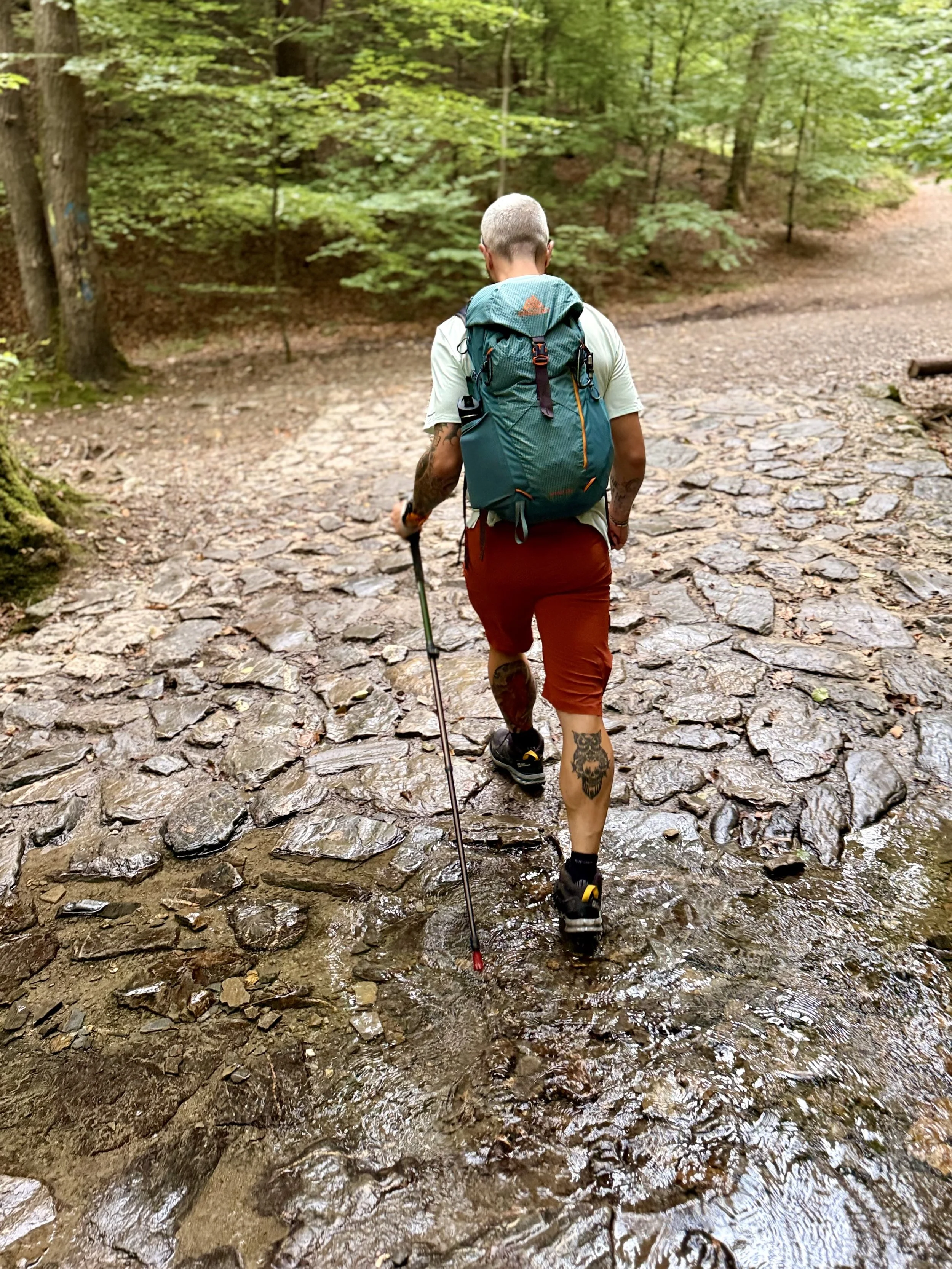 Hiking - Ninglispo.jpeg