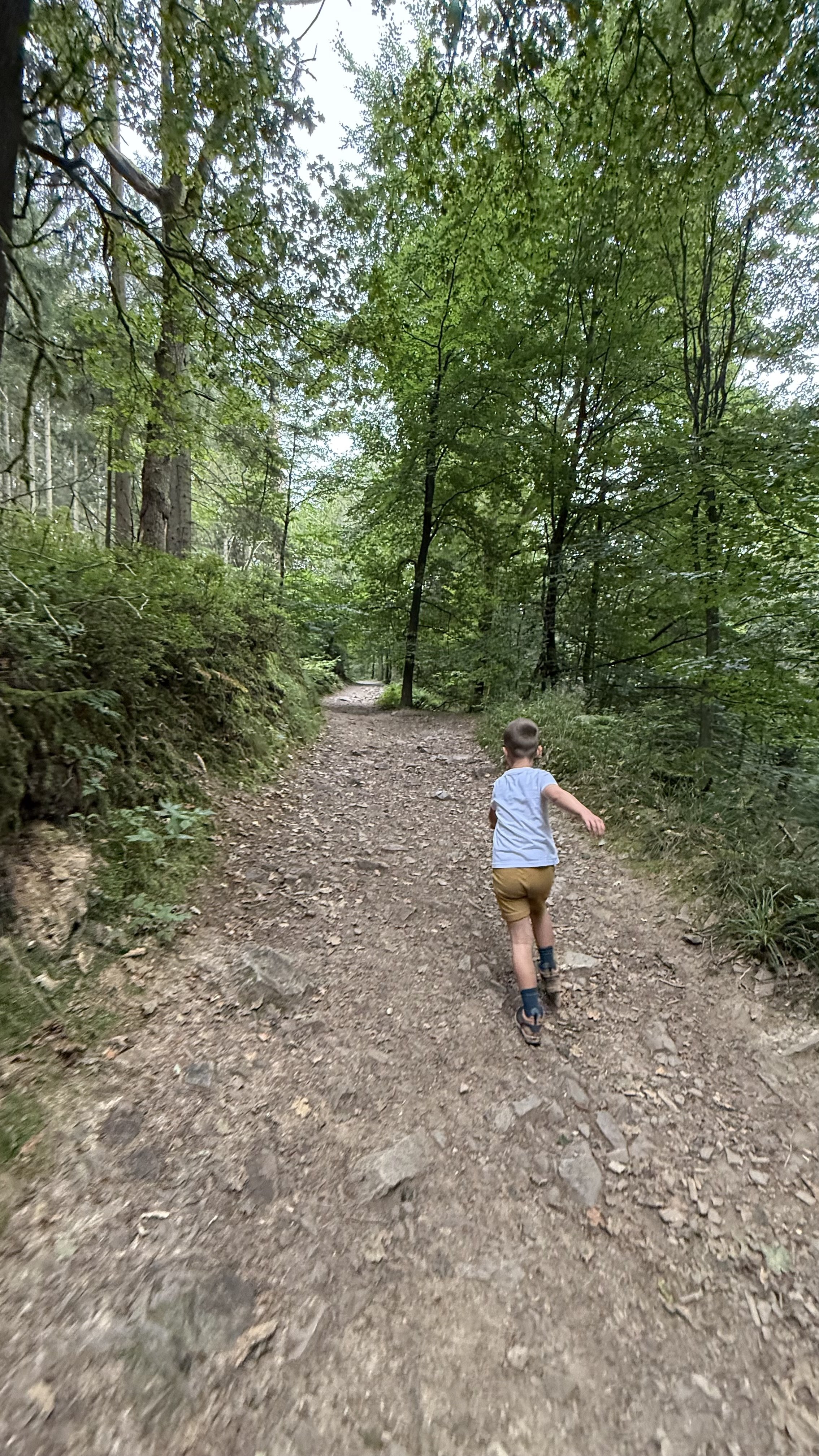 Hiking - Ninglispo.jpeg