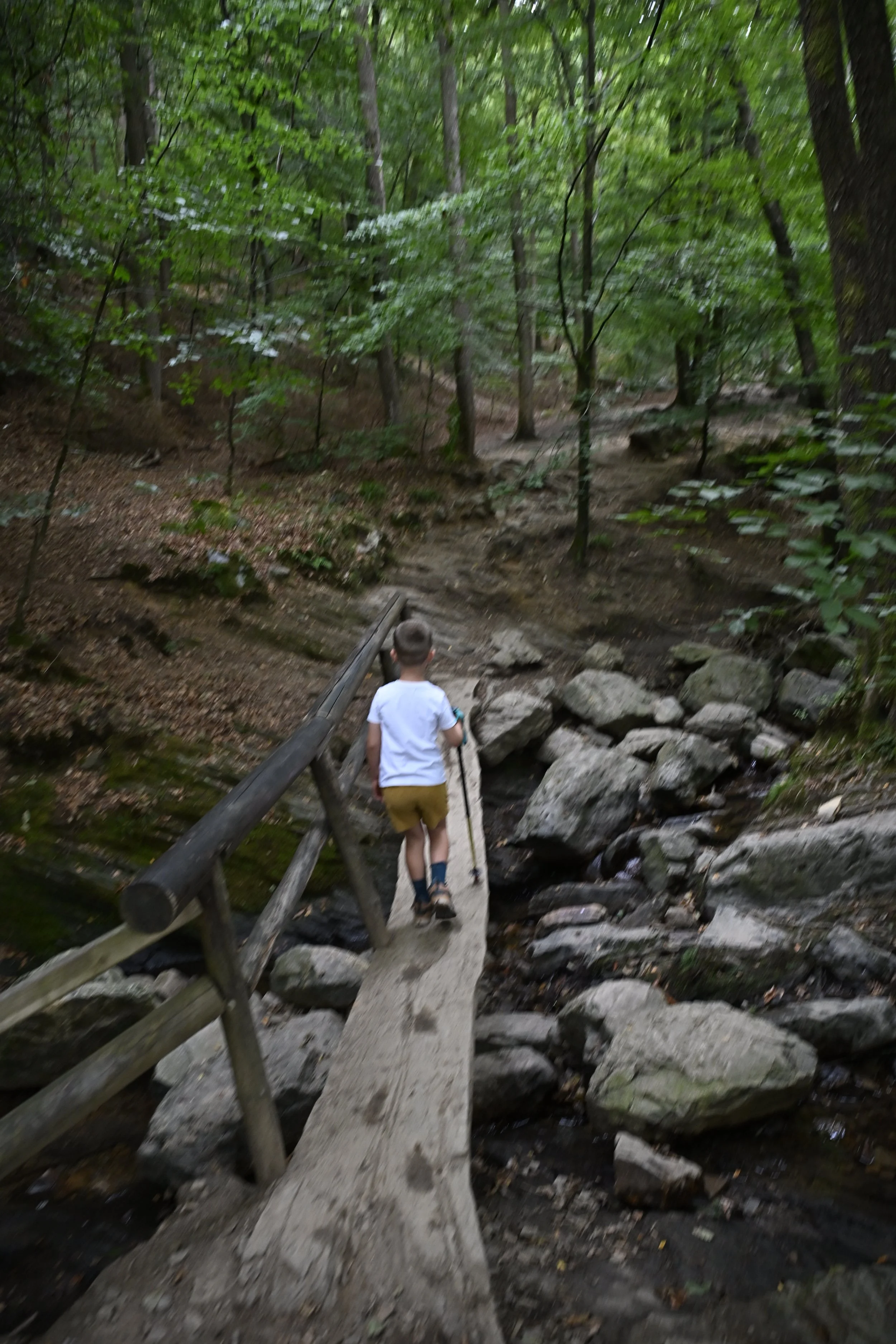 Hiking - Ninglispo.JPG