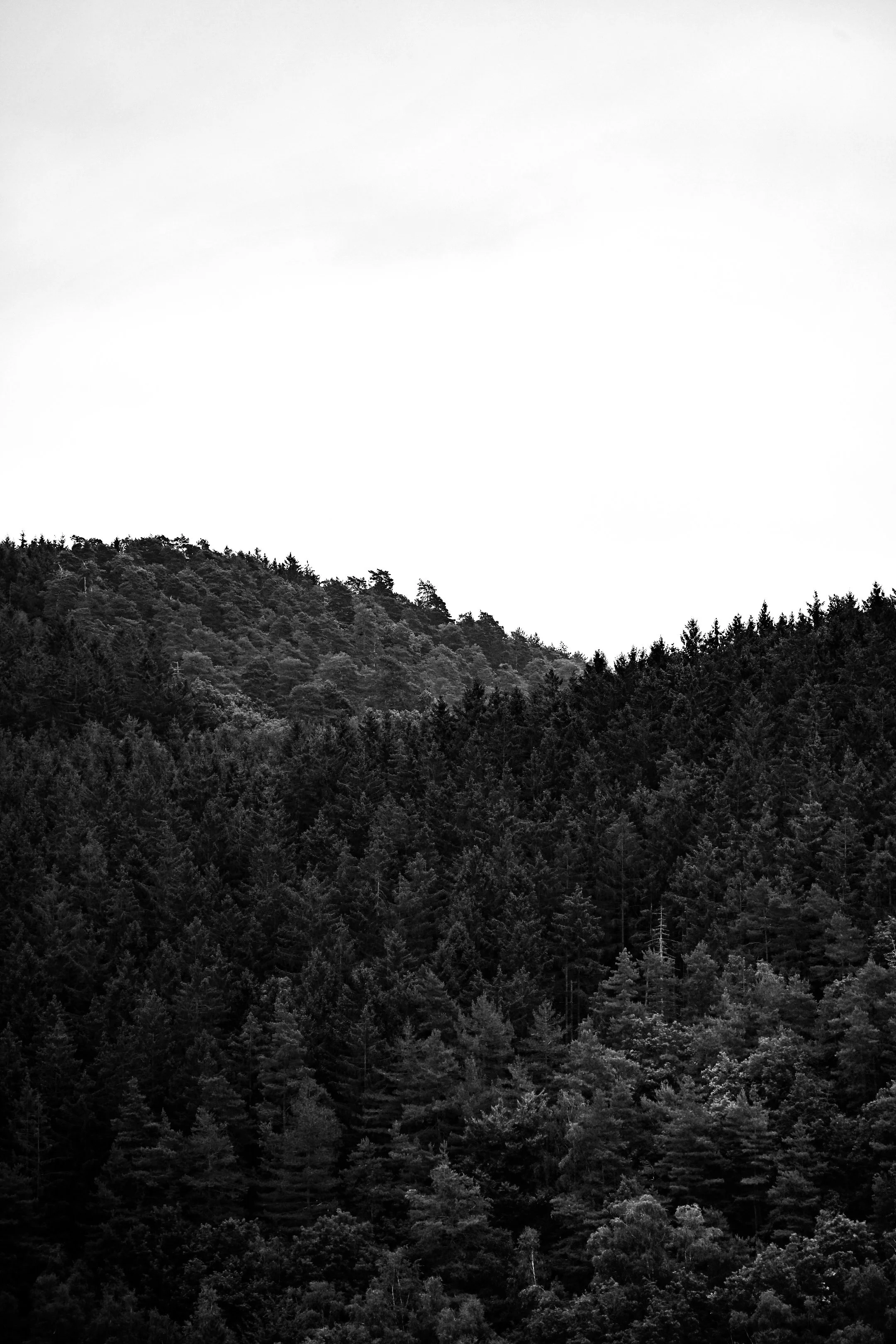 Hiking - Ninglispo.jpg