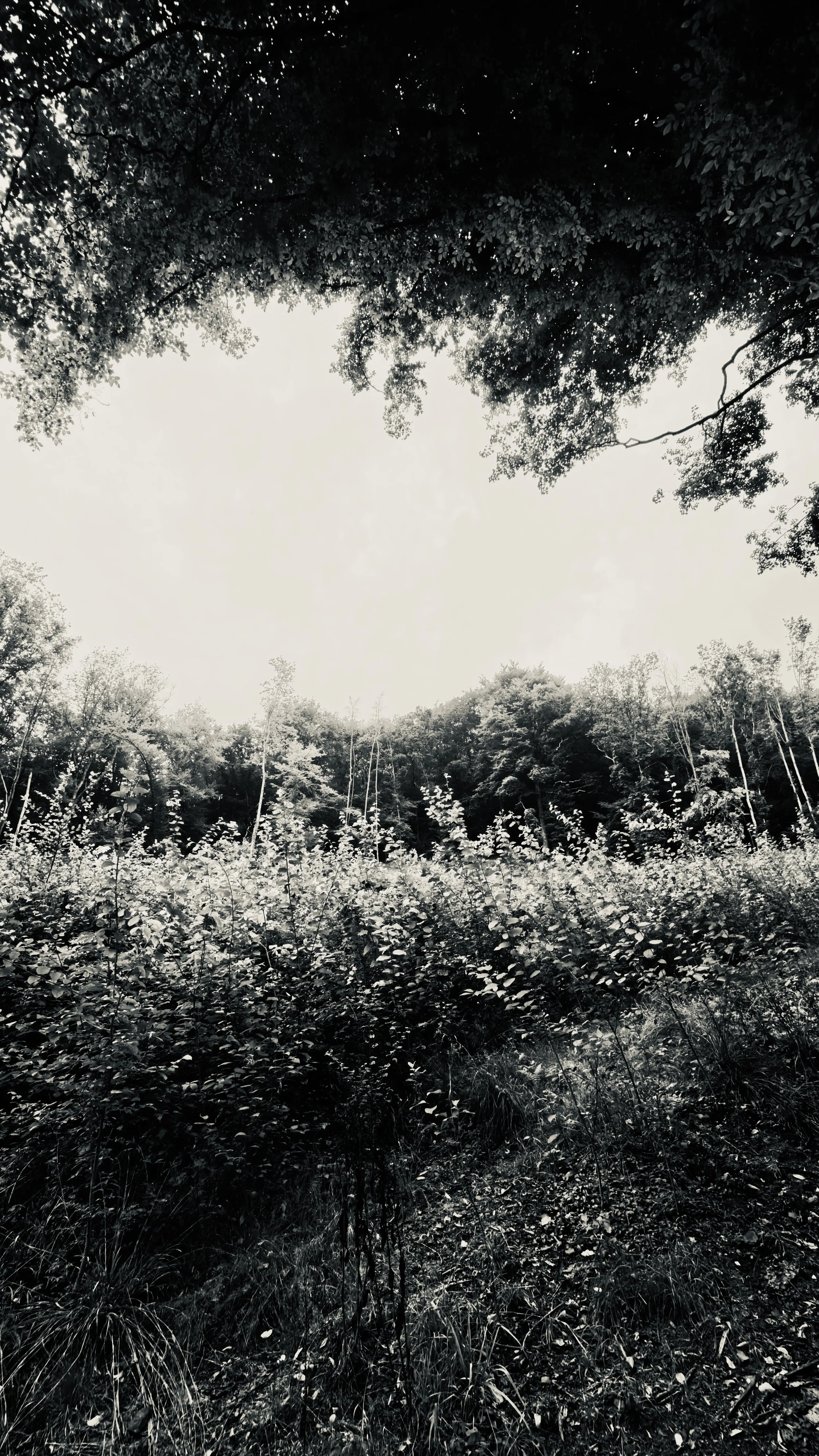 Hiking - Ninglispo.jpg