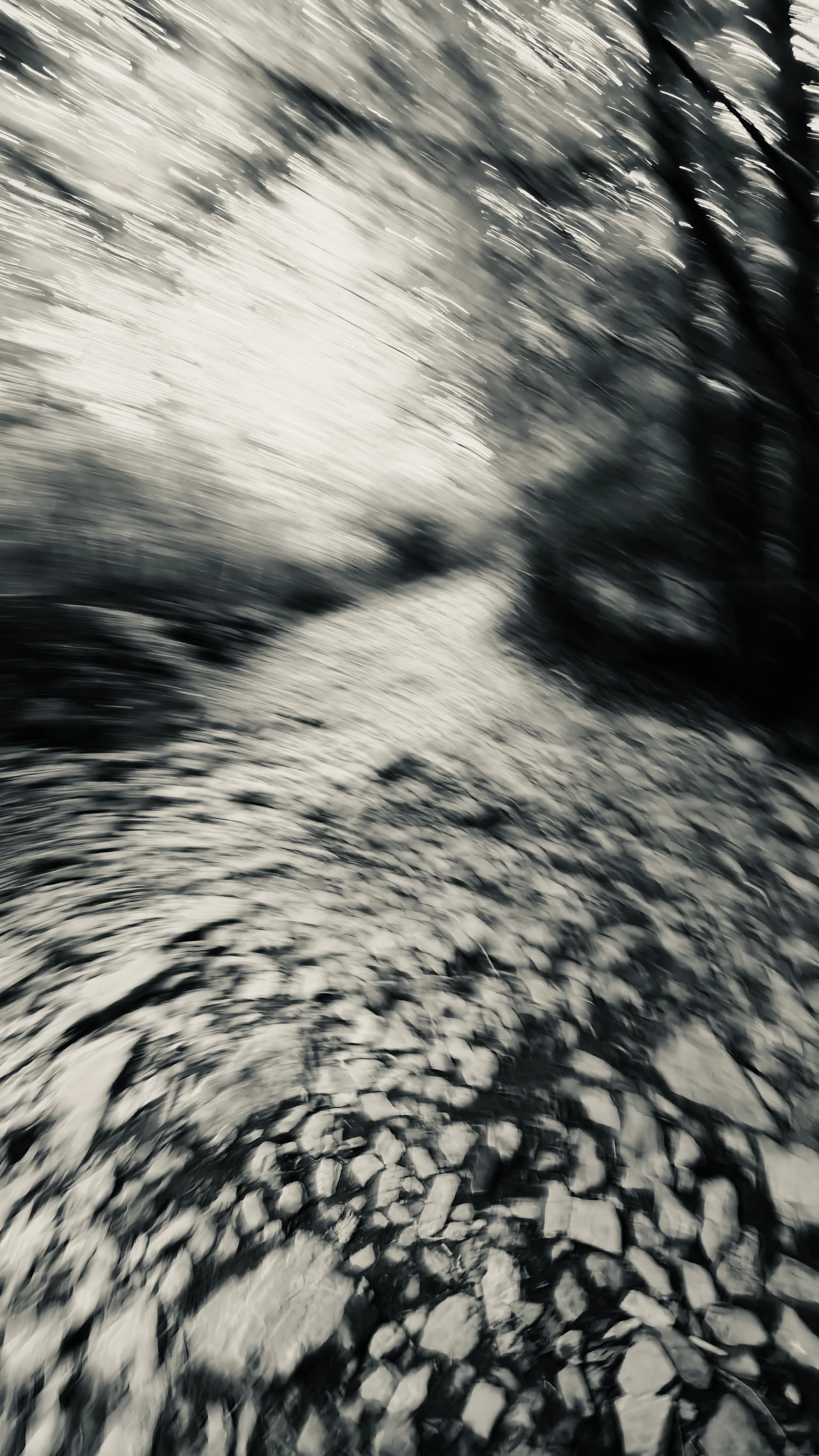 Hiking - Ninglispo.jpg