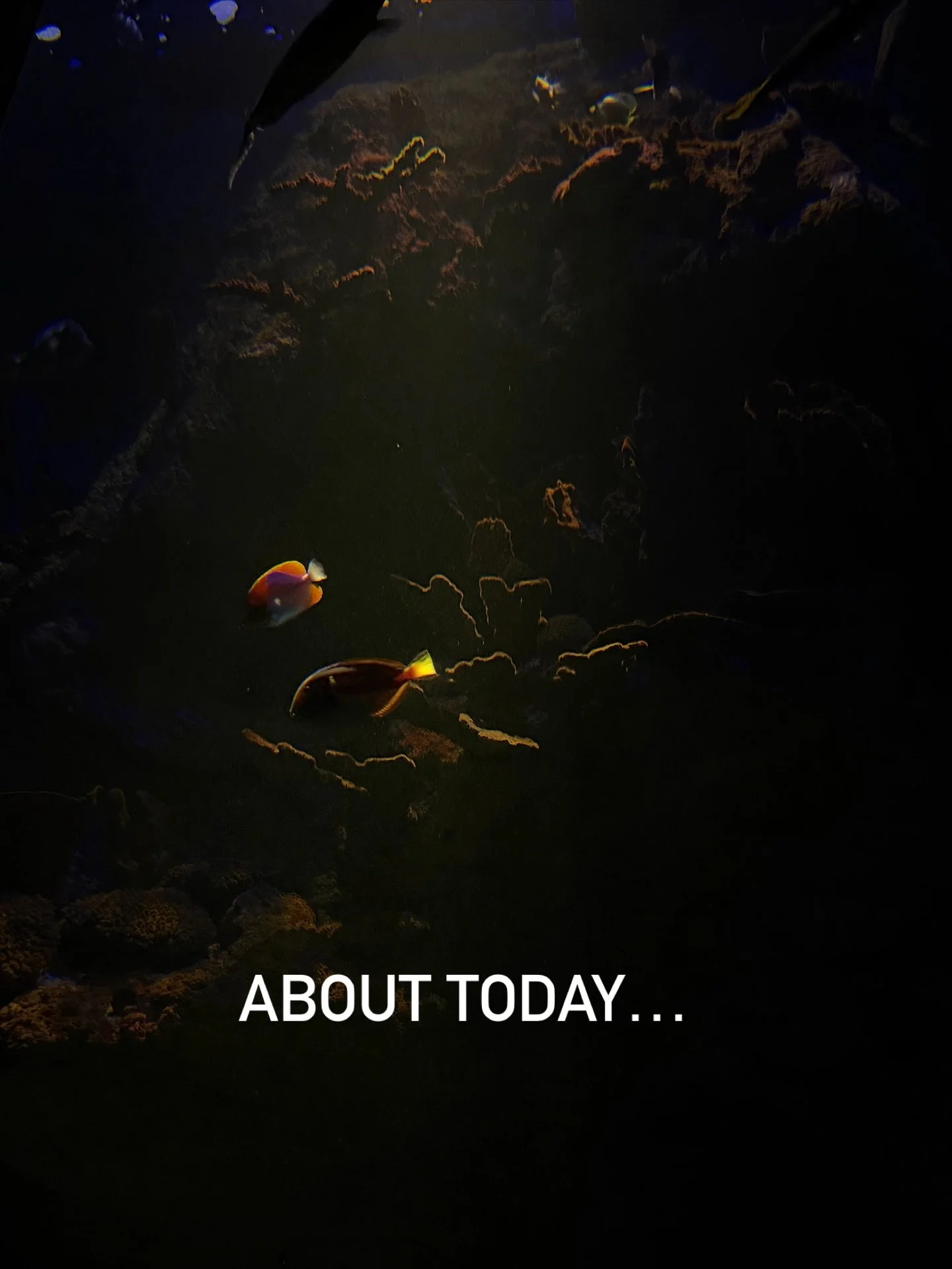 Vandaag even tijd genomen om te ontdekken, stil te staan bij kleine dingen, terug te gaan in de tijd, de rust van de zee te ervaren, te observeren en wat kwali-tijd met elkaar te hebben. 

Version Fran&ccedil;aise ⬇️

Aujourd&rsquo;hui, nous avons pr