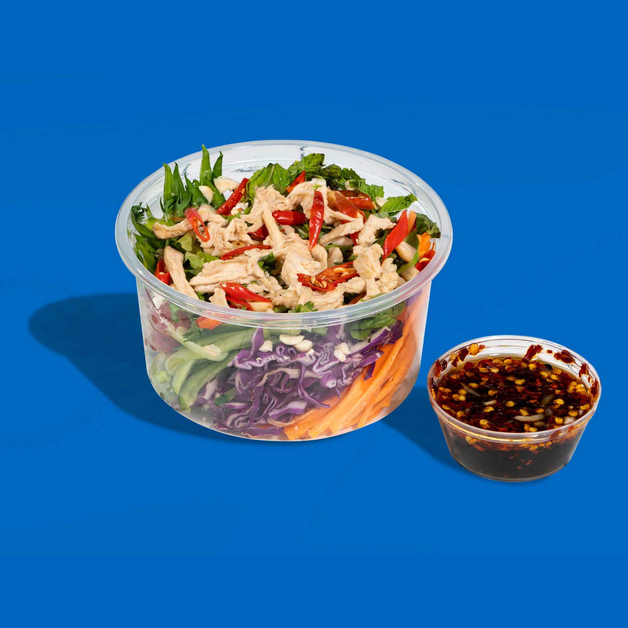 Send Noods with Chicken