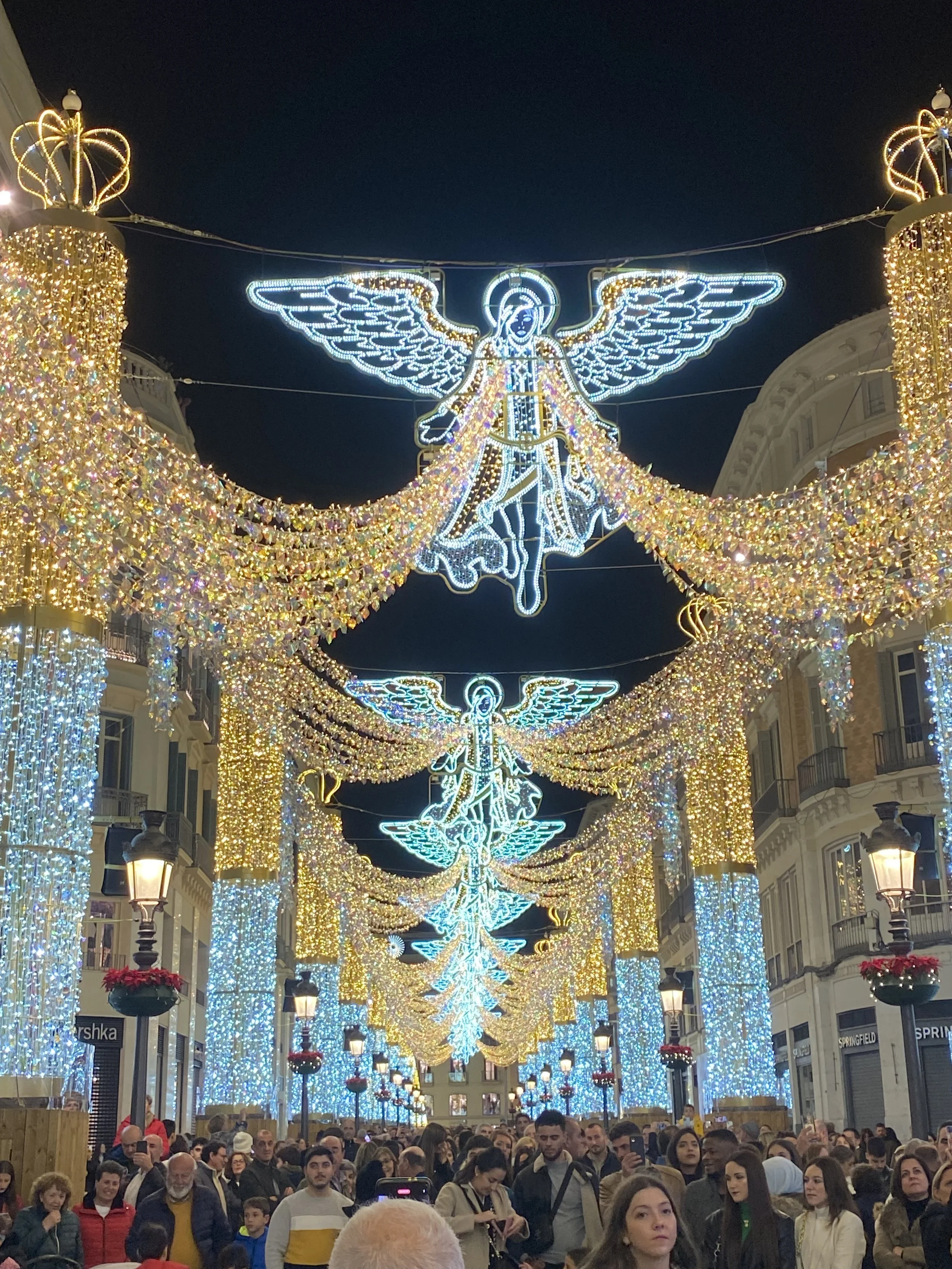 Malaga Christmas Lights
