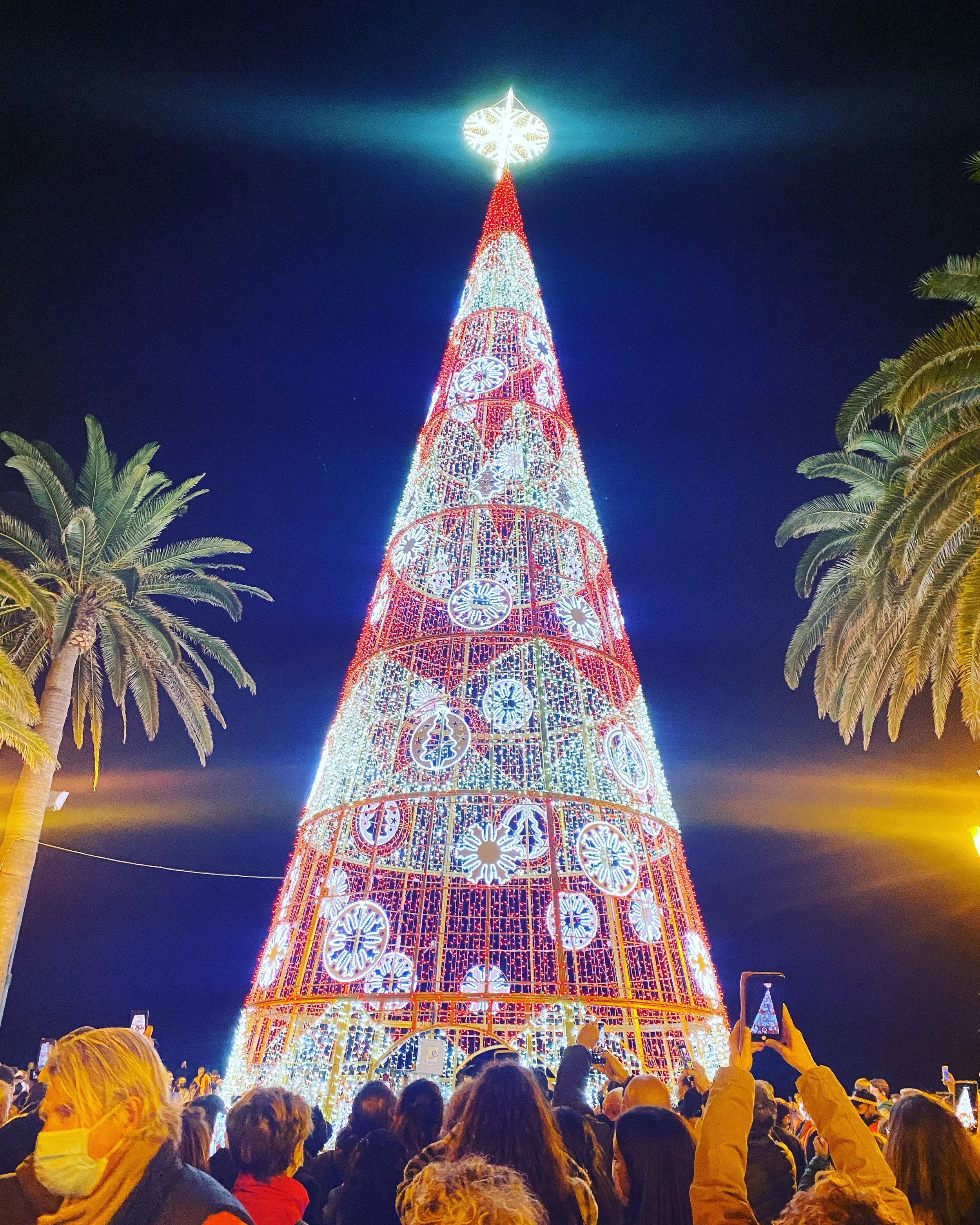 Christmas Lights &amp; Nativity Scene