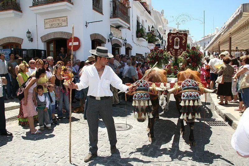 Feria de San Antonio de Frigiliana