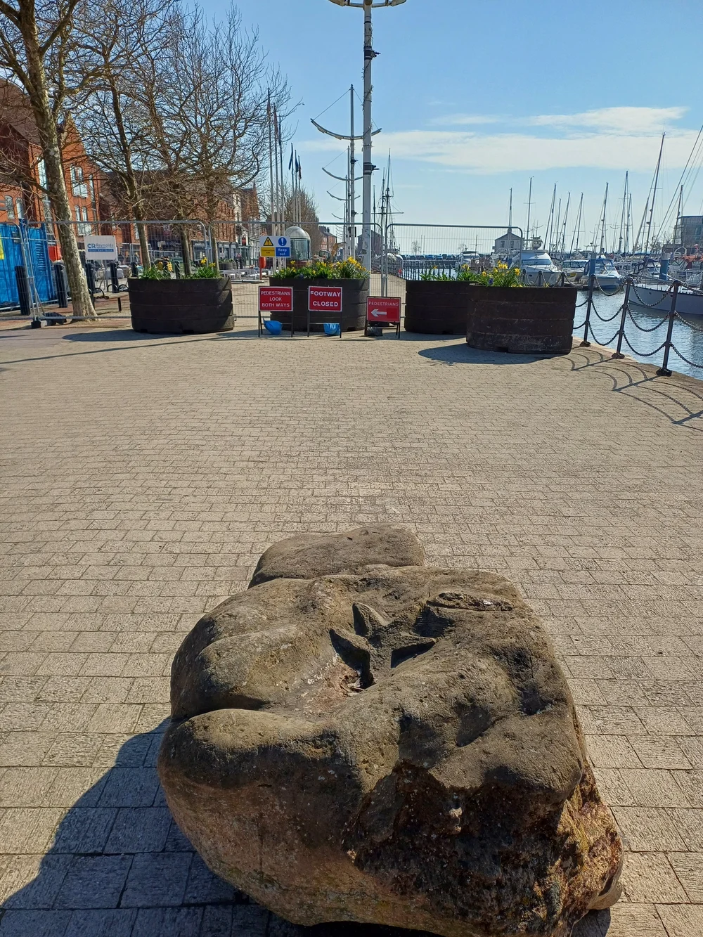 20250319_124916 starfish on boulder.jpg