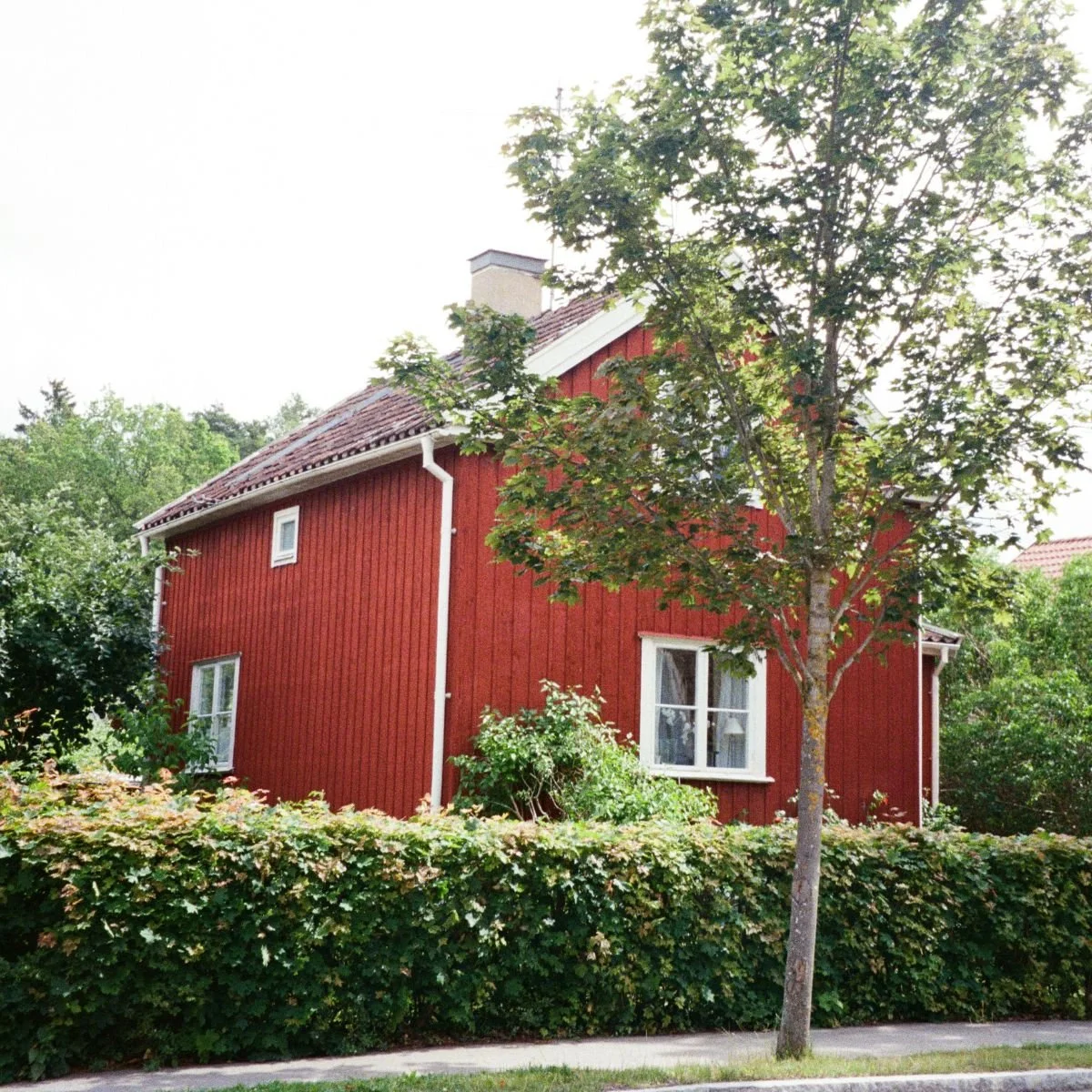 Dolda fel vid husköp – Den hårda sanningen som många missar