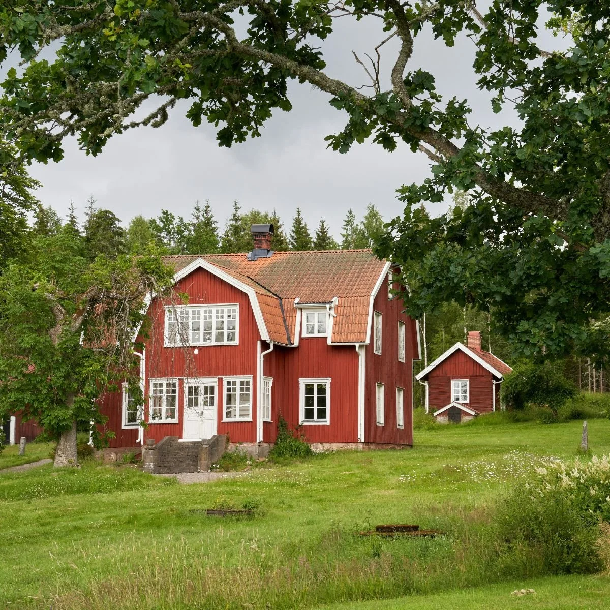 Huset måste andas – Så undviker du att kväva din nya villa