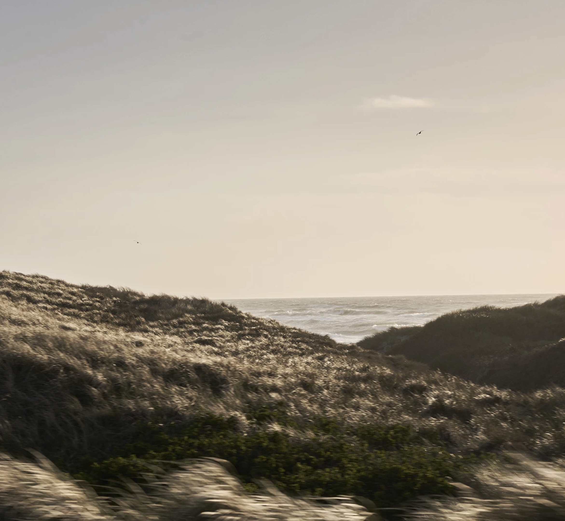noveldesign-vippcoldhawaii4.png