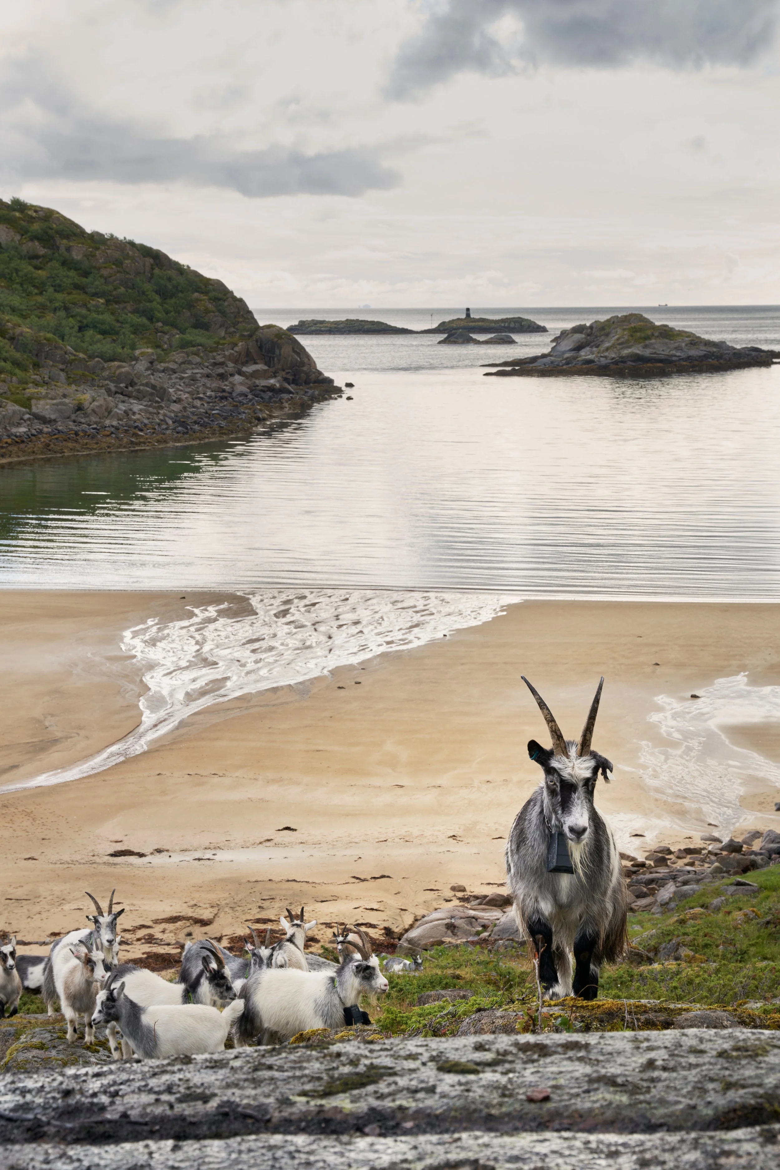 vipp-lofoten-surroundings-08.jpg