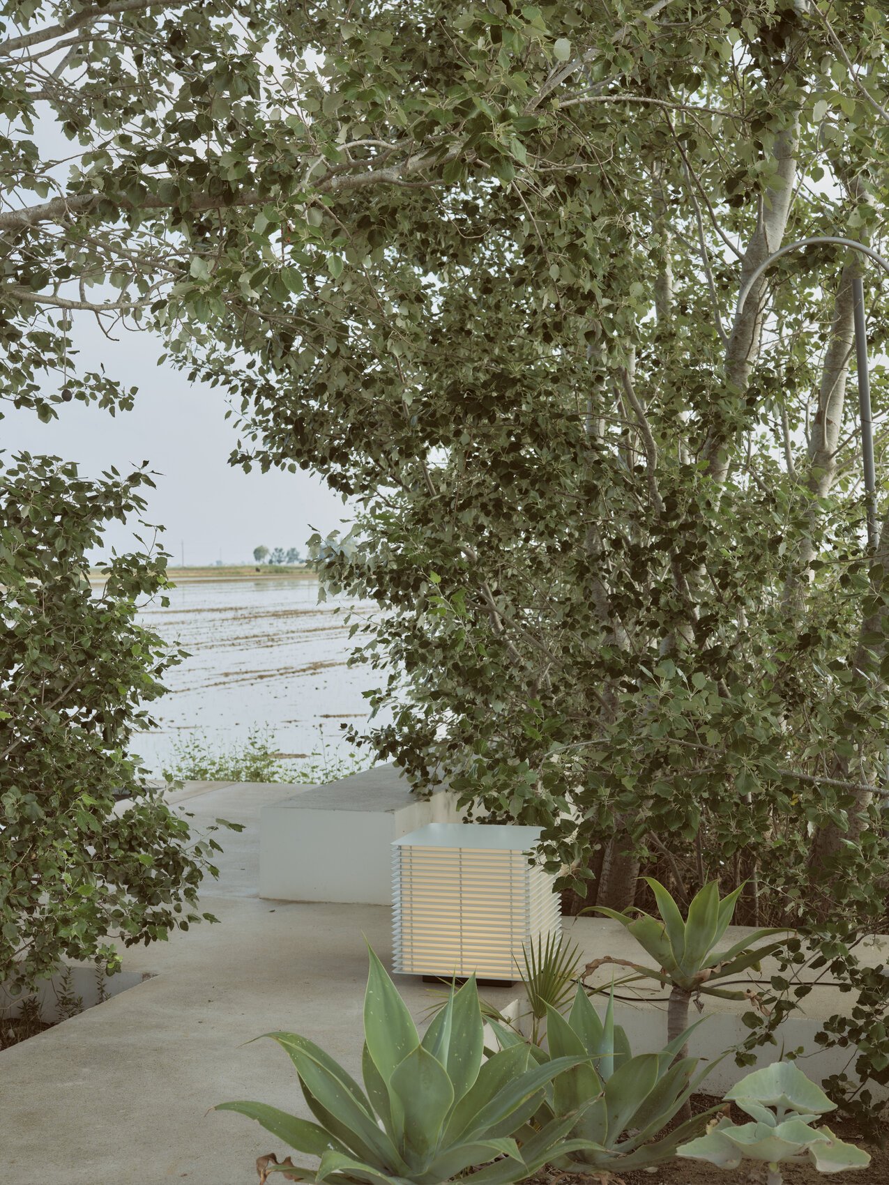 Shiro-exterior-ON-JaraVarela-Delta-SantaCole-2023-07-x1700 (1).jpg