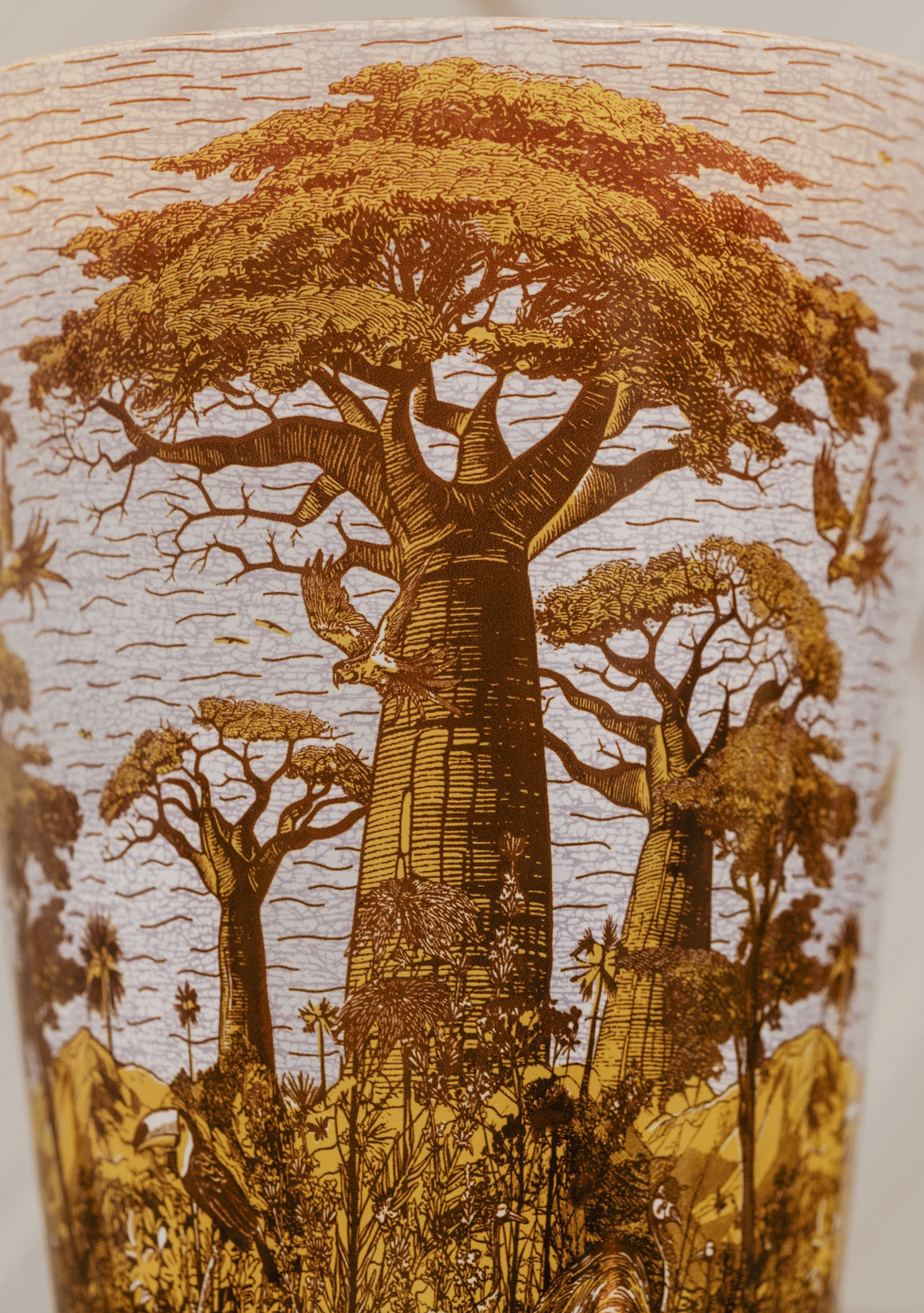 noveldesign-baobab-sacredtrees-bounkani3.png